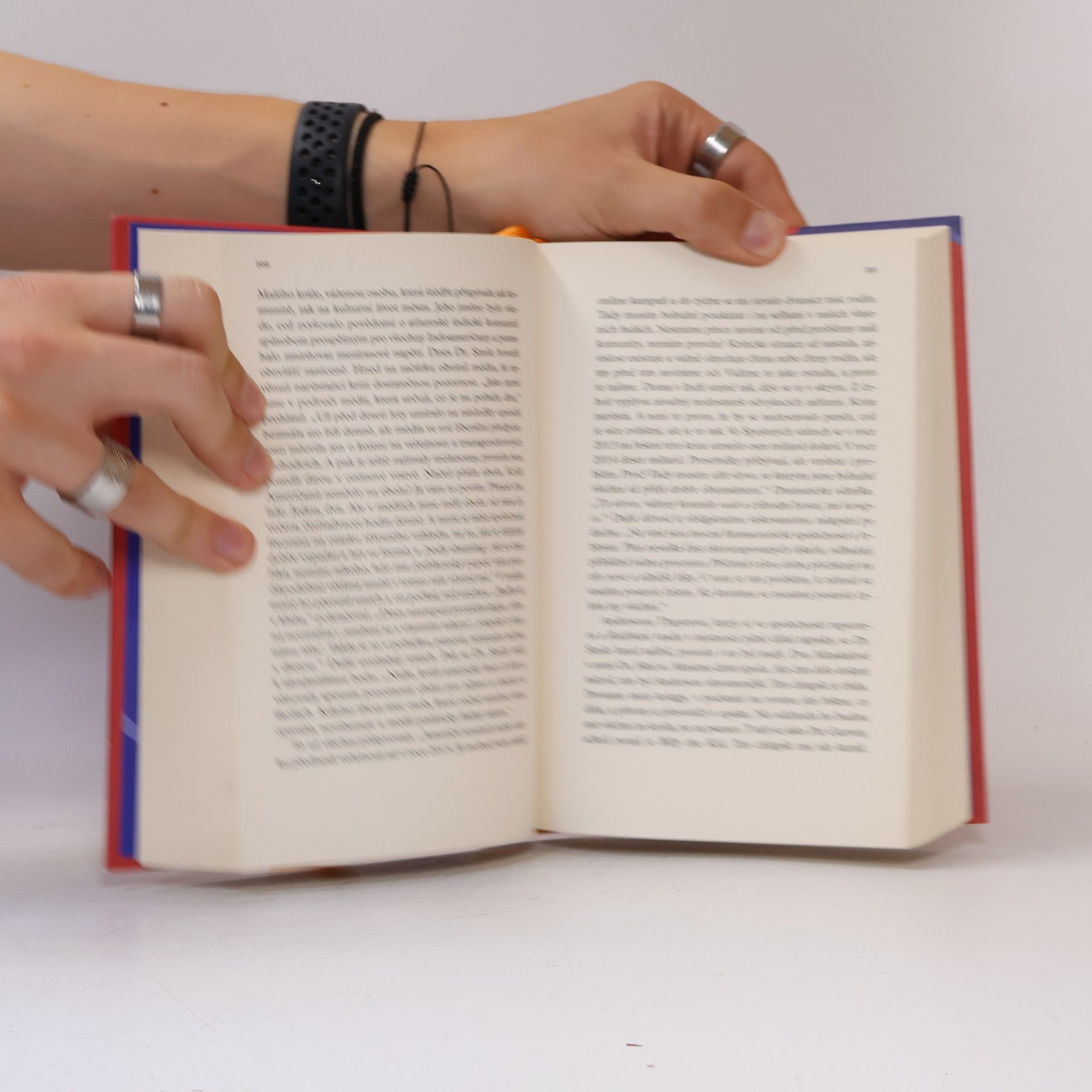 Salman Rushdie Quijote