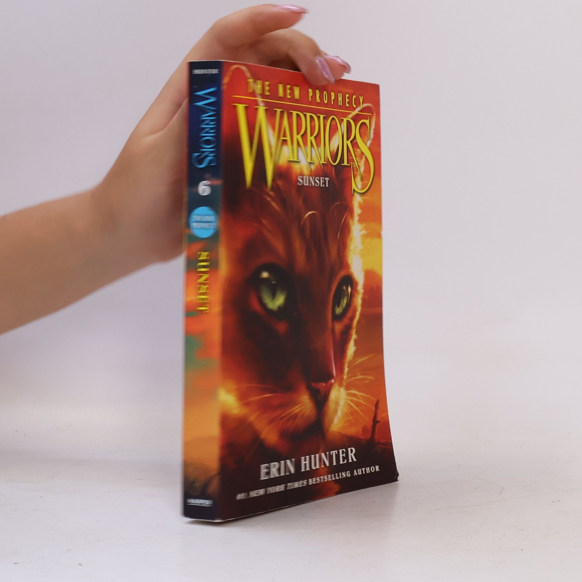 Erin Hunter Warriors, The New Prophecy, Sunset