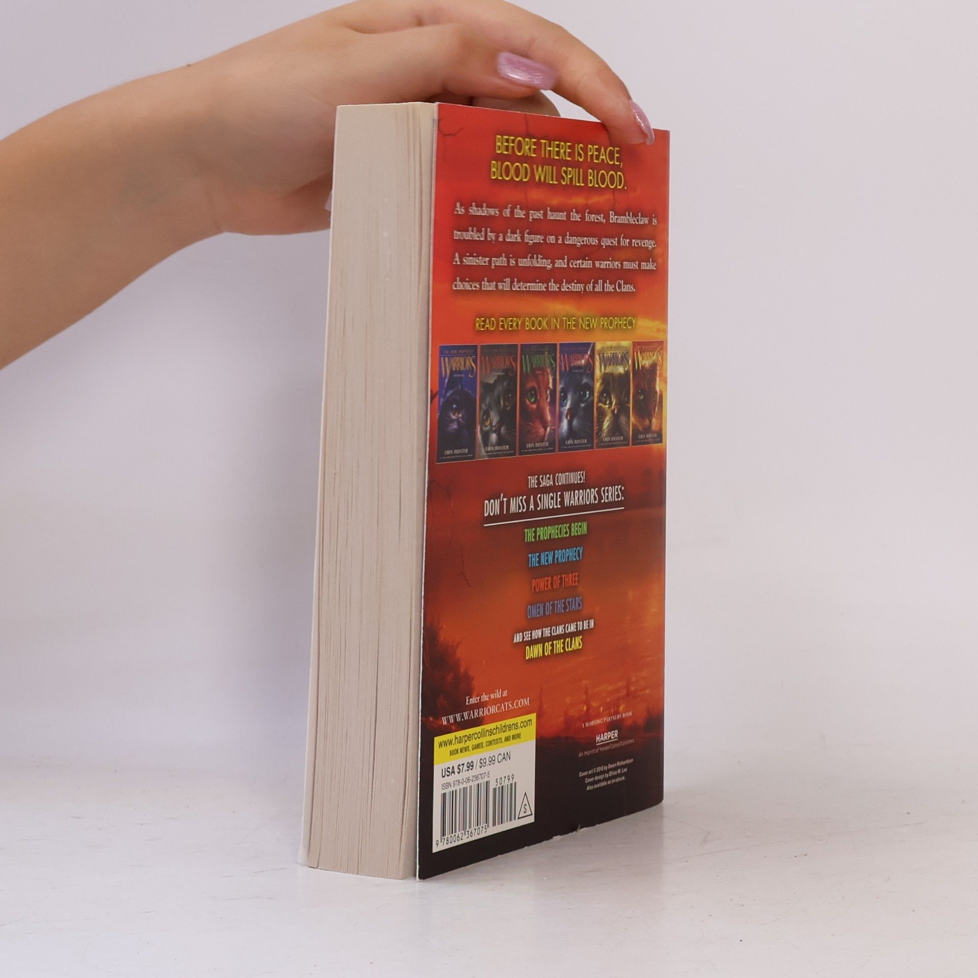 Erin Hunter Warriors, The New Prophecy, Sunset