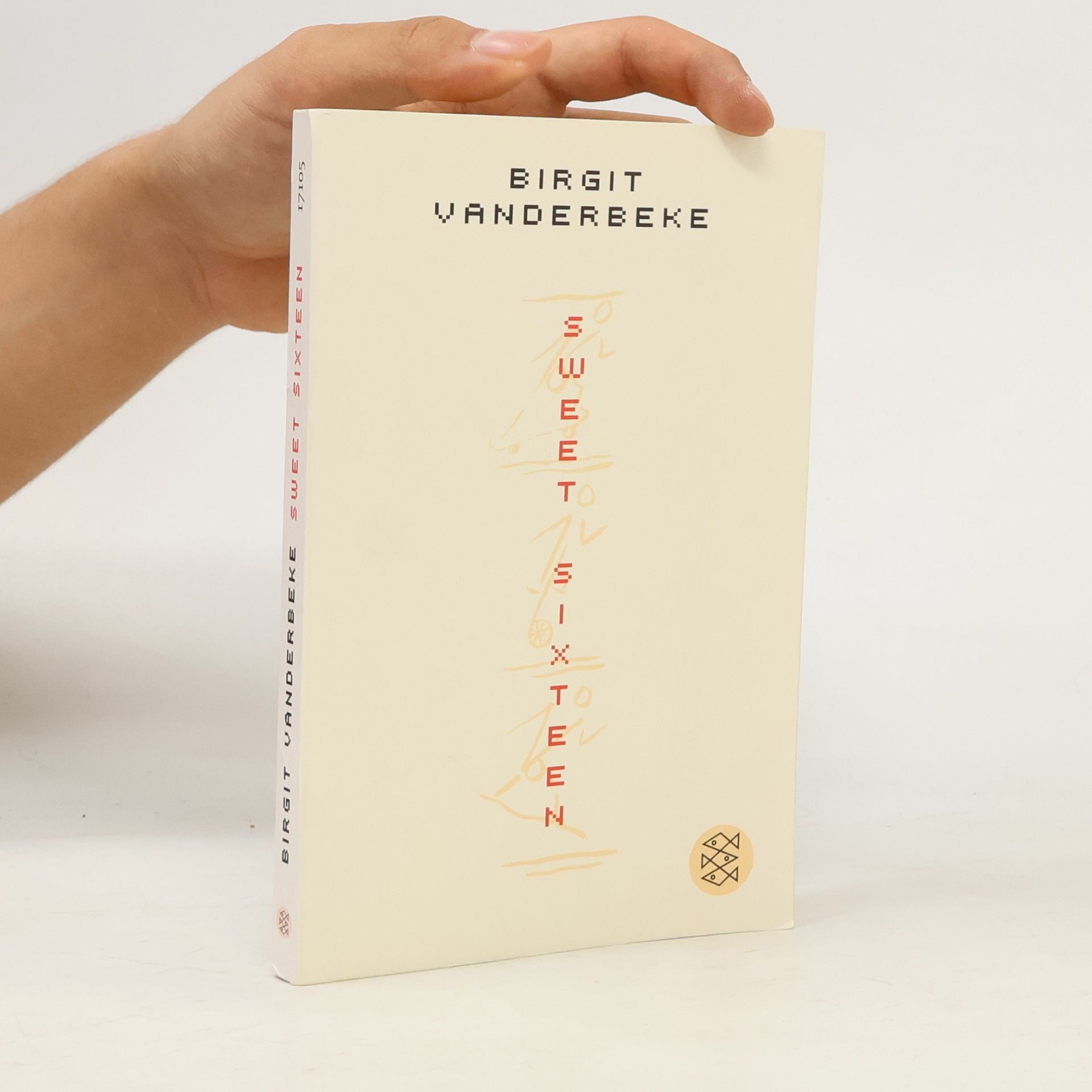 Birgit Vanderbeke Sweet sixteen
