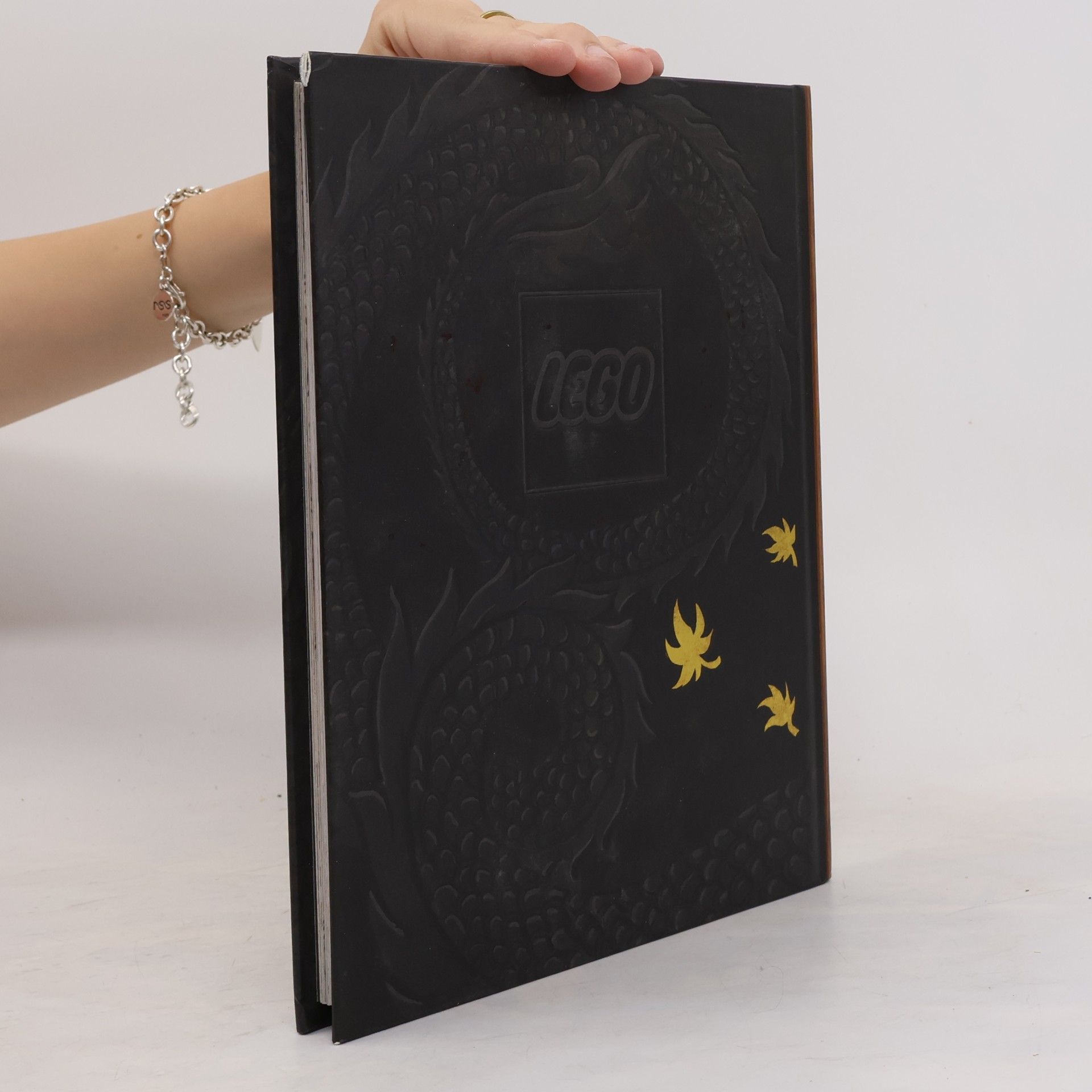 Adam Beechen Das Buch des Spinjitzu