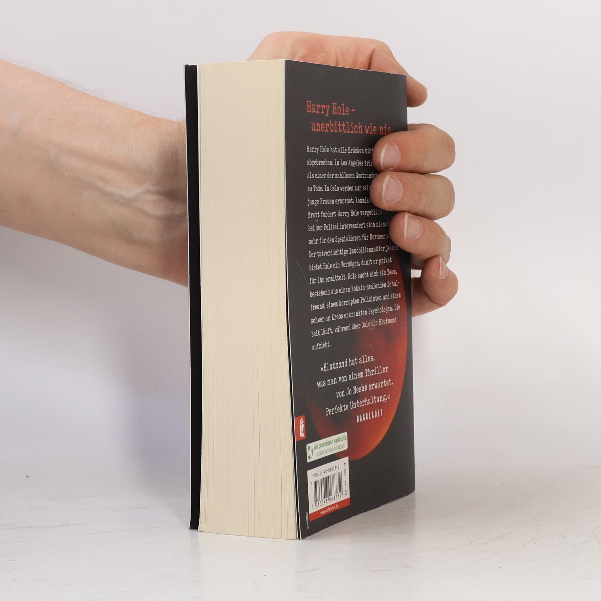 Jo Nesbø Blutmond (Ein Harry-Hole-Krimi 13)