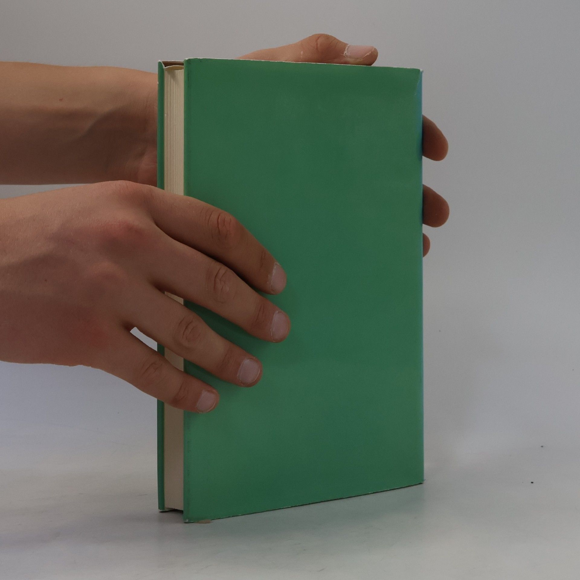 Irmgard Bohunovsky-Bärnthaler Die Vaterländische Front: Geschichte und Organisation