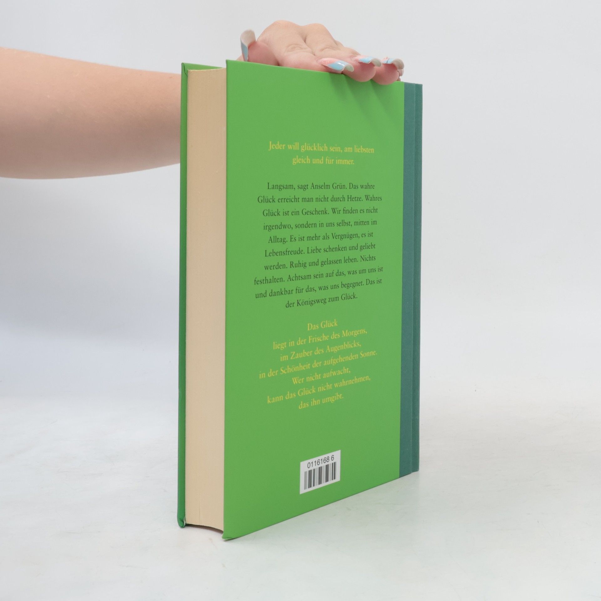 Louise Fatio Das grosse Buch vom glücklichen Löwen