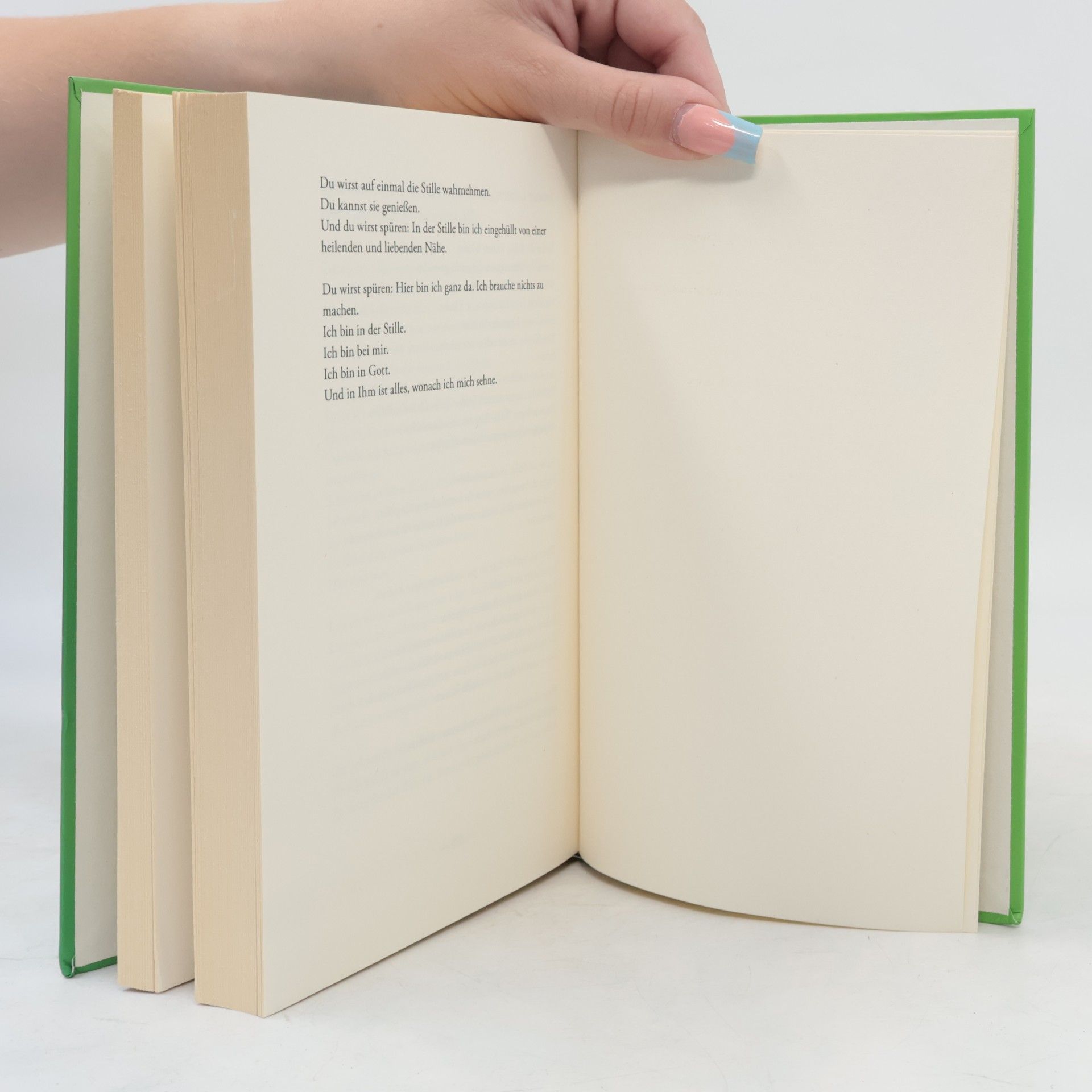 Louise Fatio Das grosse Buch vom glücklichen Löwen
