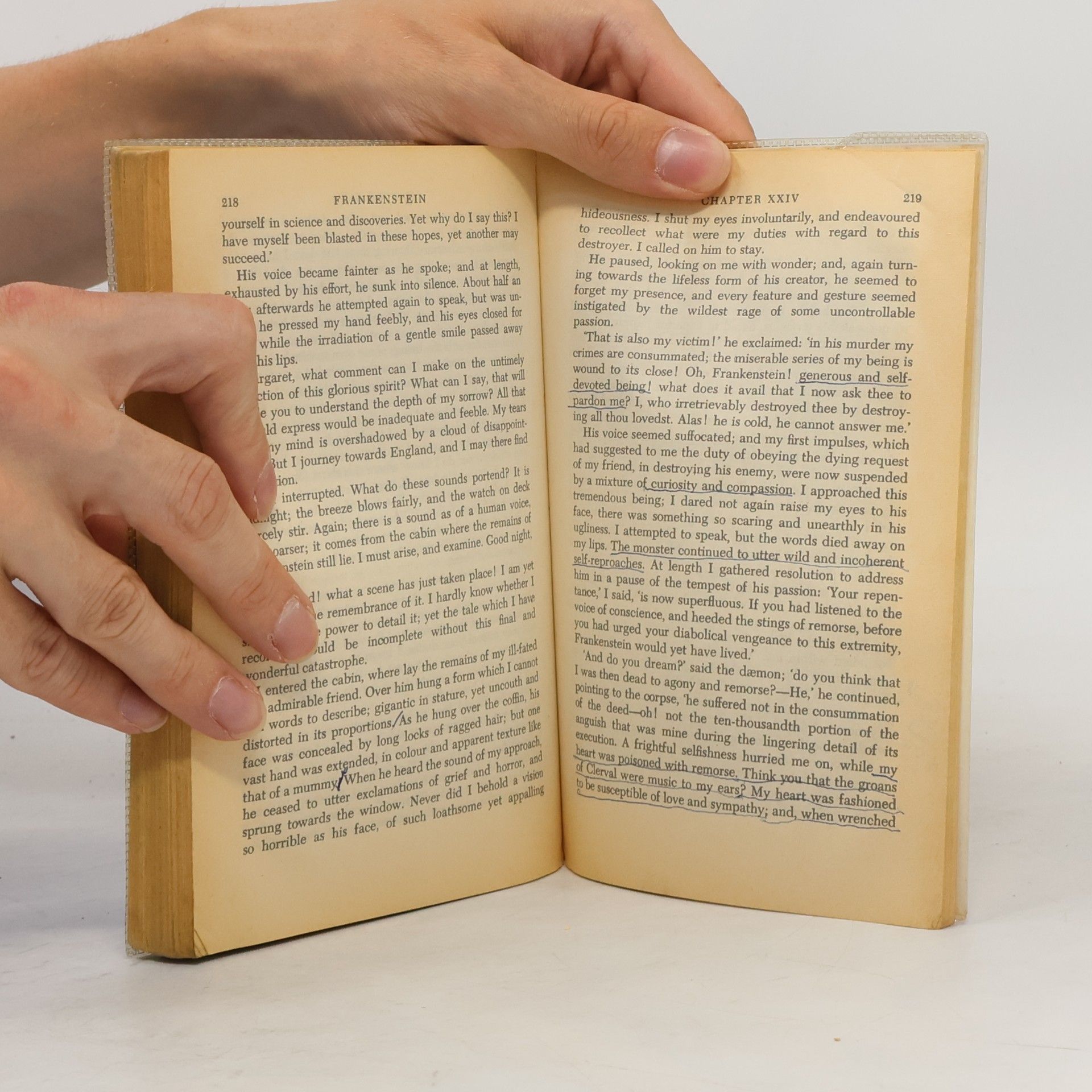 Mary W. Shelley Frankenstein