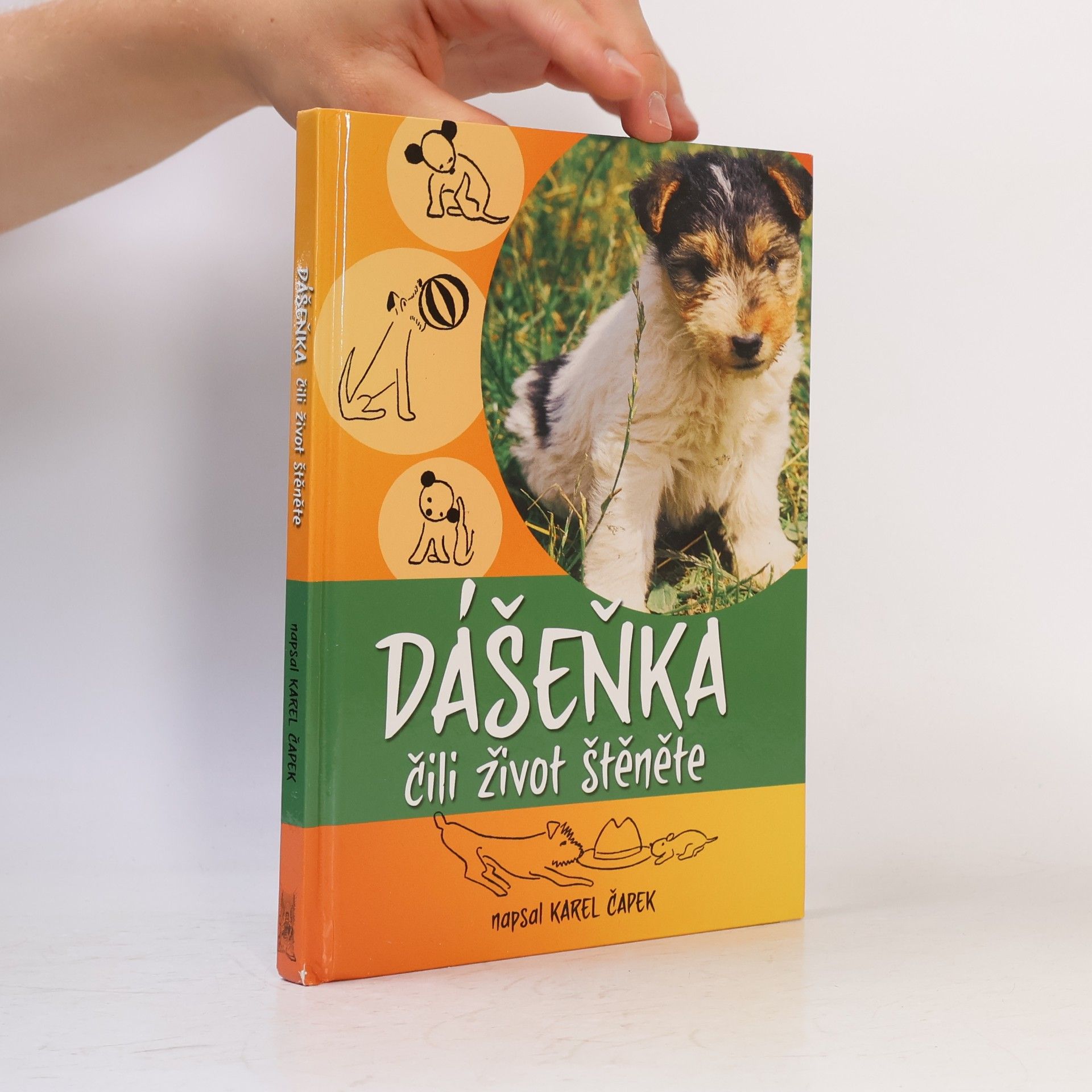 Karel Čapek Dášeňka čili život štěněte