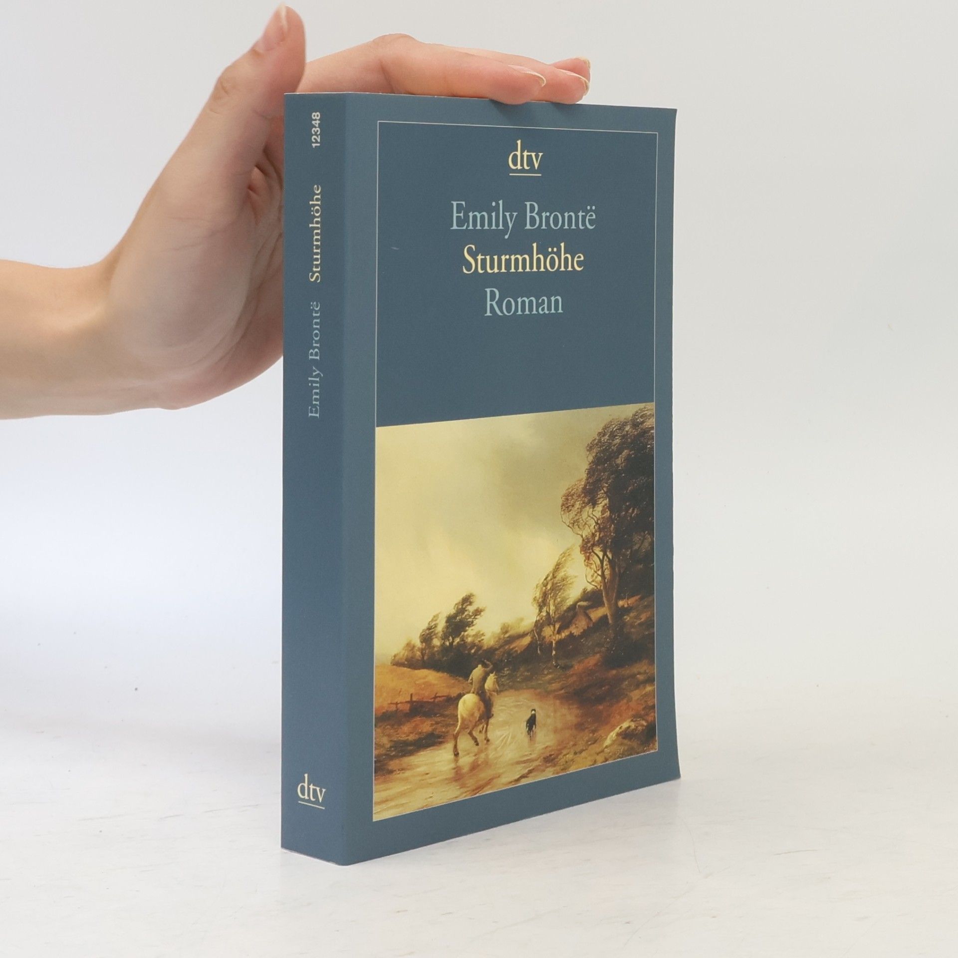 Emily Brontë Sturmhöhe