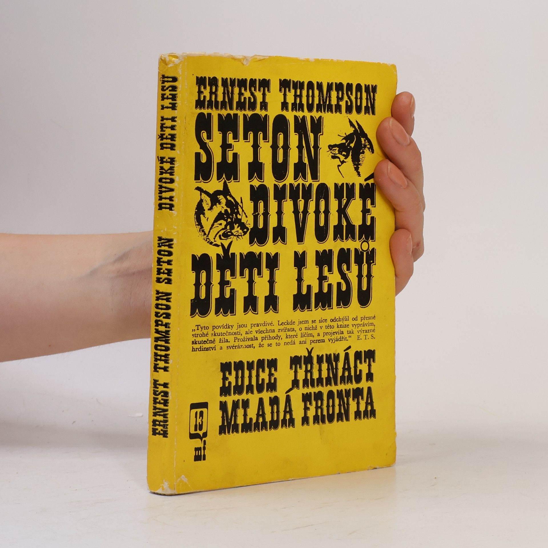 Ernest Thompson Seton Divoké děti lesů