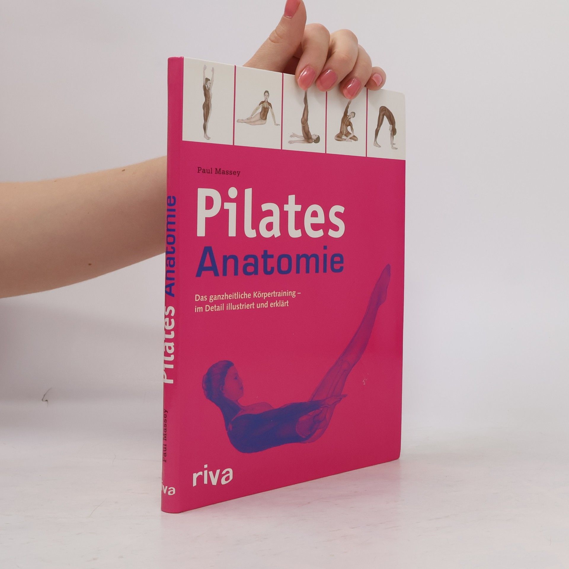 Paul Massey Pilates-Anatomie