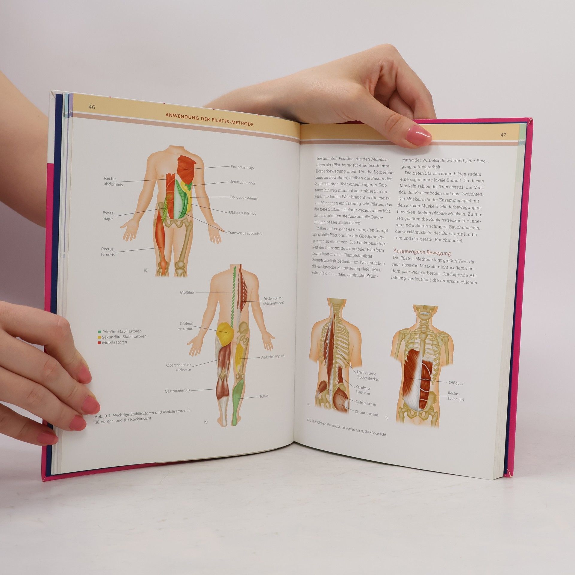Paul Massey Pilates-Anatomie