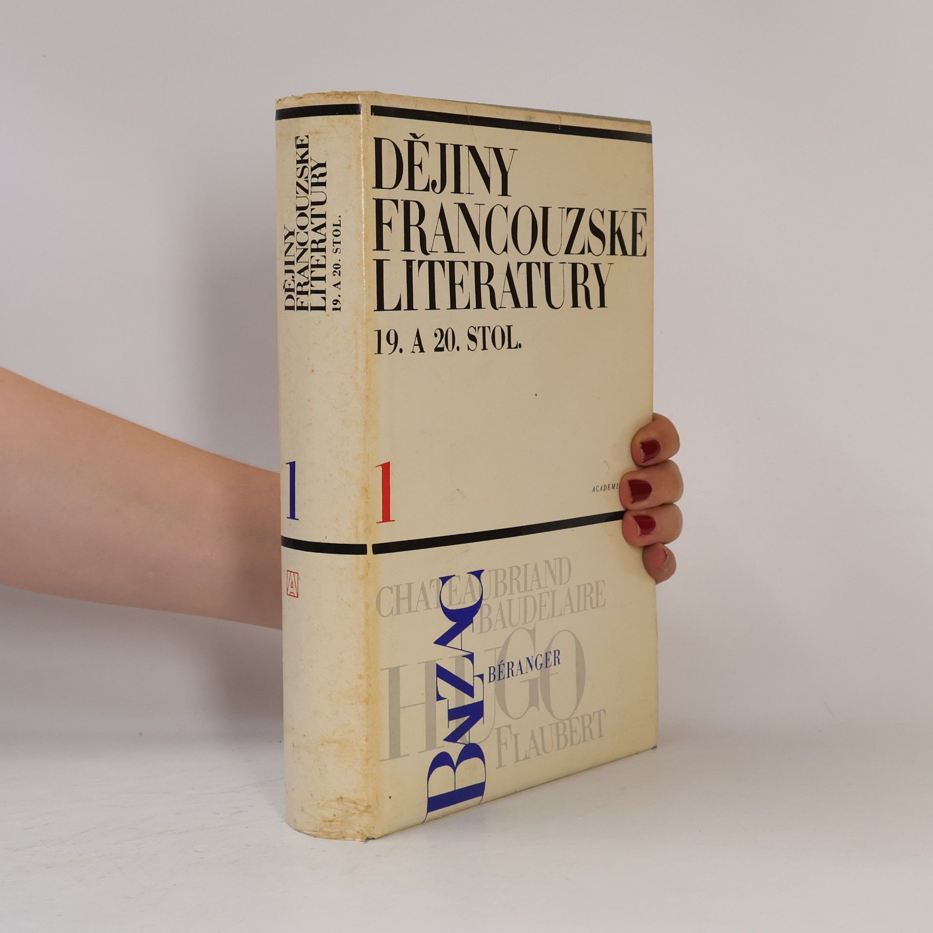 Autorenkollektiv Dějiny francouzské literatury 19. a 20. stol. 1