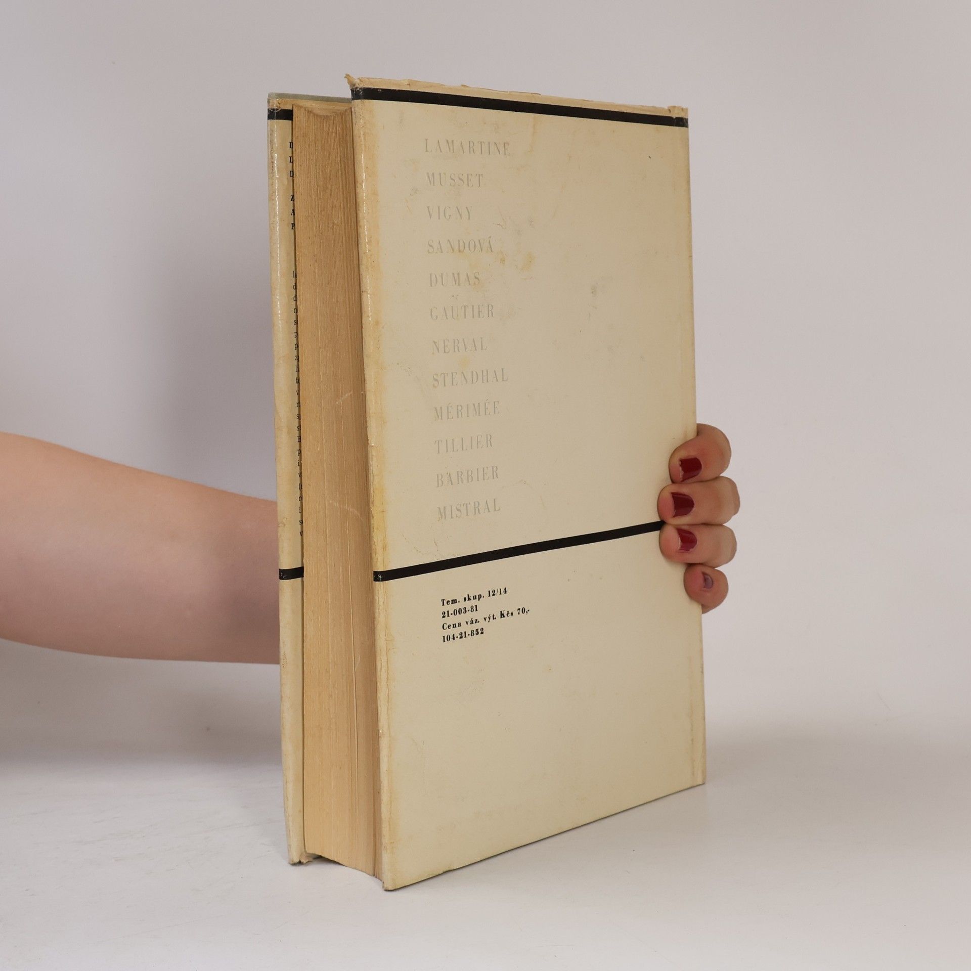 Autorenkollektiv Dějiny francouzské literatury 19. a 20. stol. 1