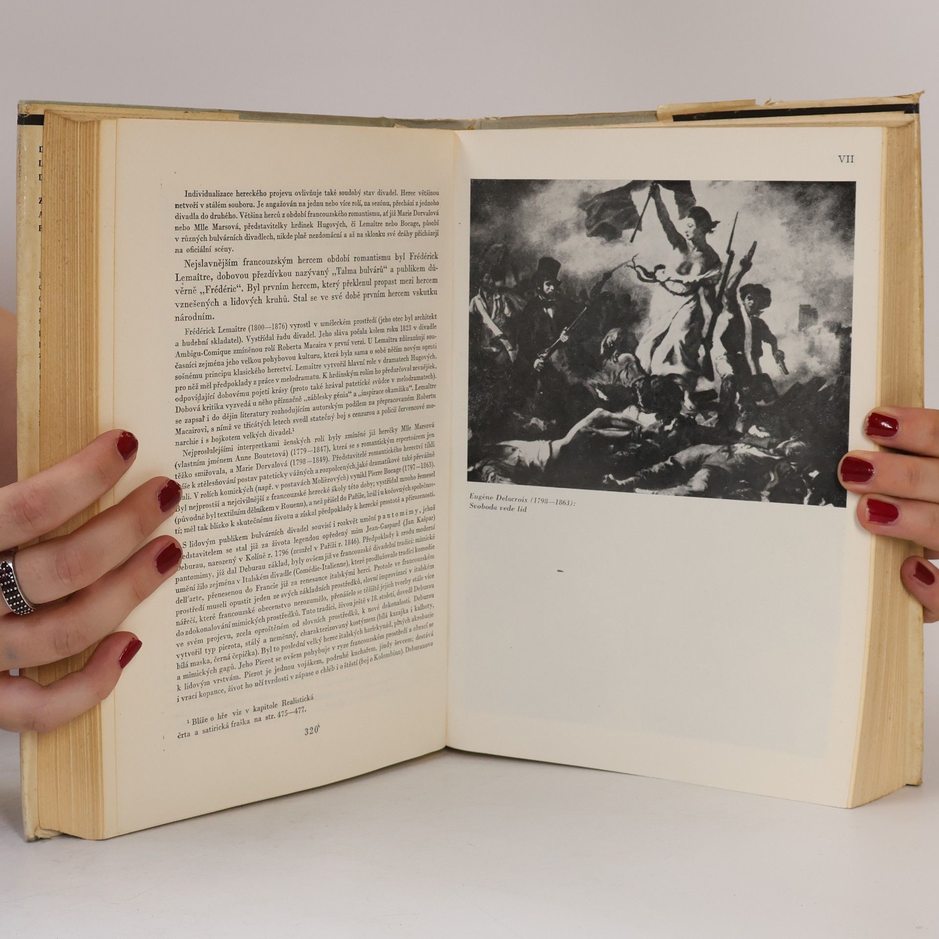 Autorenkollektiv Dějiny francouzské literatury 19. a 20. stol. 1