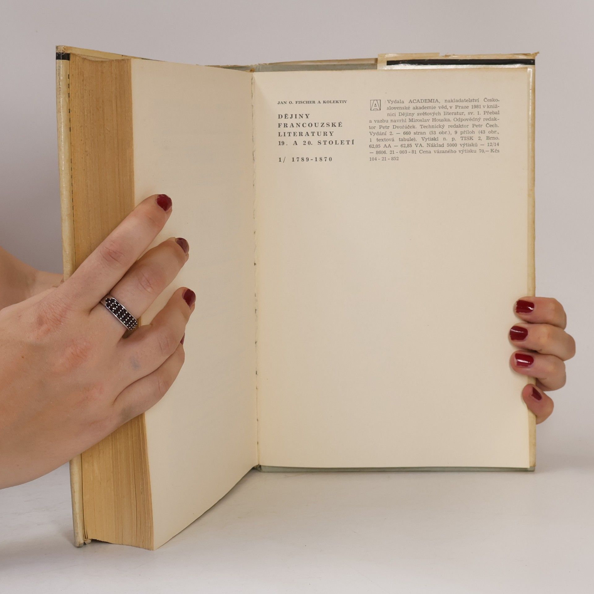 Autorenkollektiv Dějiny francouzské literatury 19. a 20. stol. 1