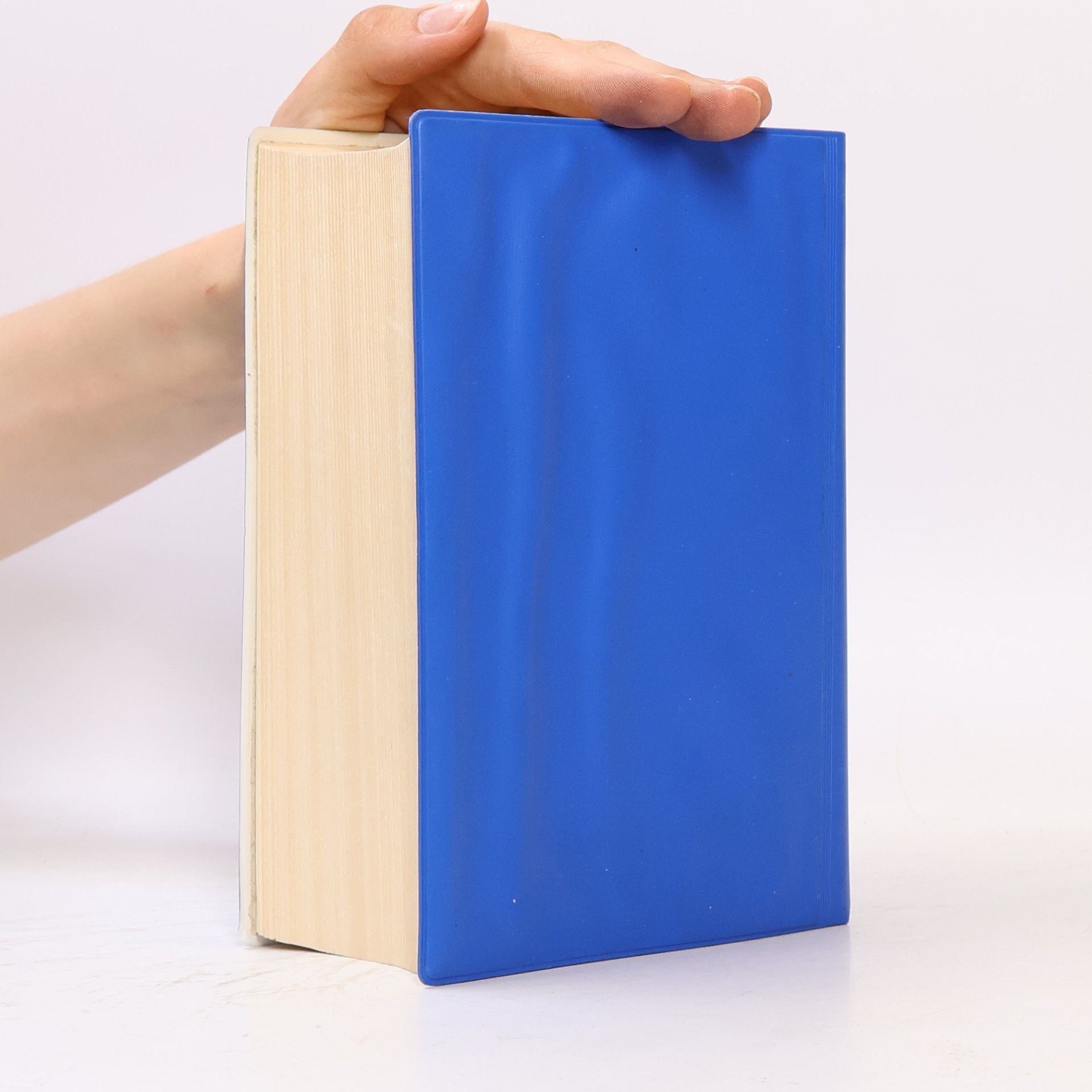 Robert Dluhy Schiffstechnisches Wörterbuch