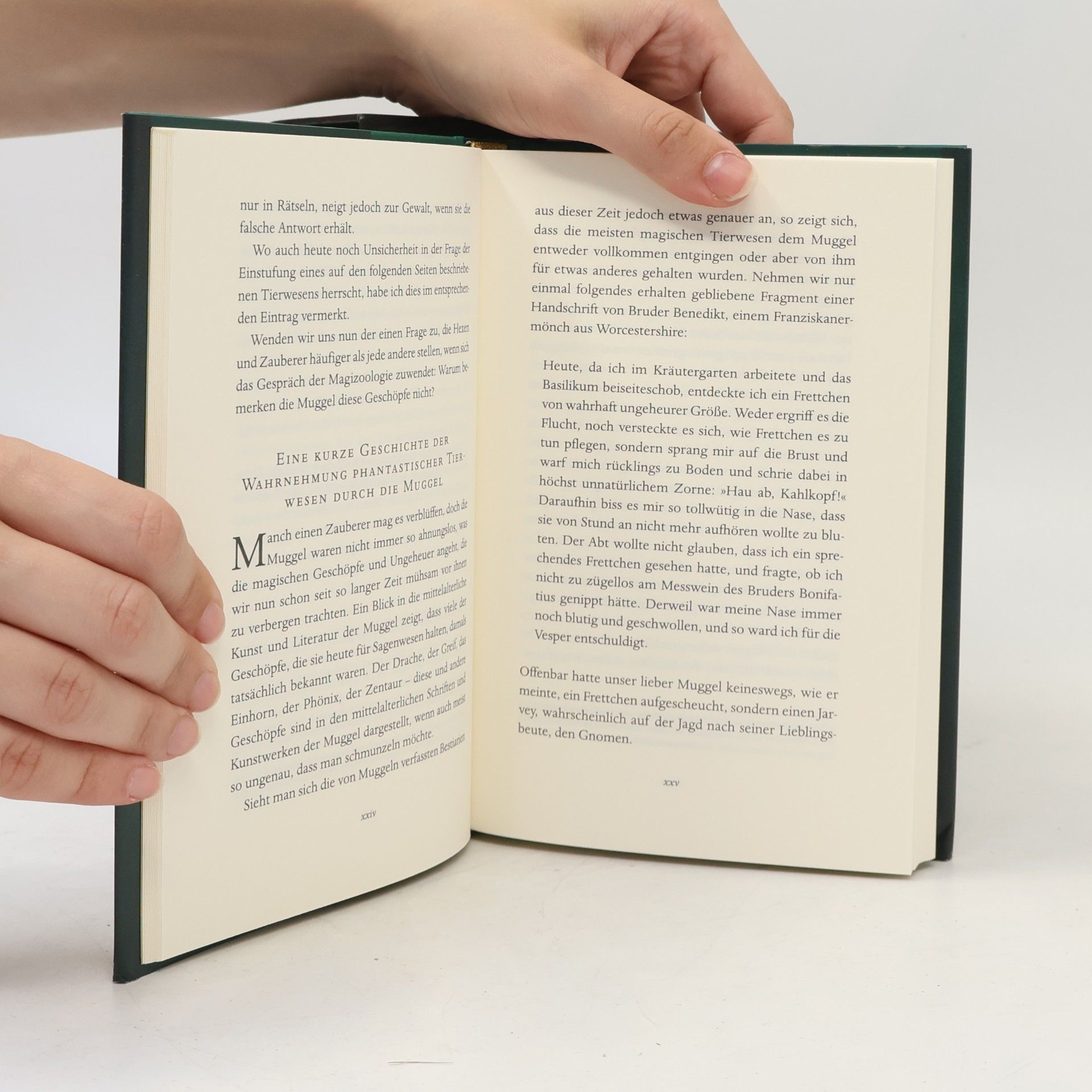 J. K. Rowling Hogwarts Schulbücher
