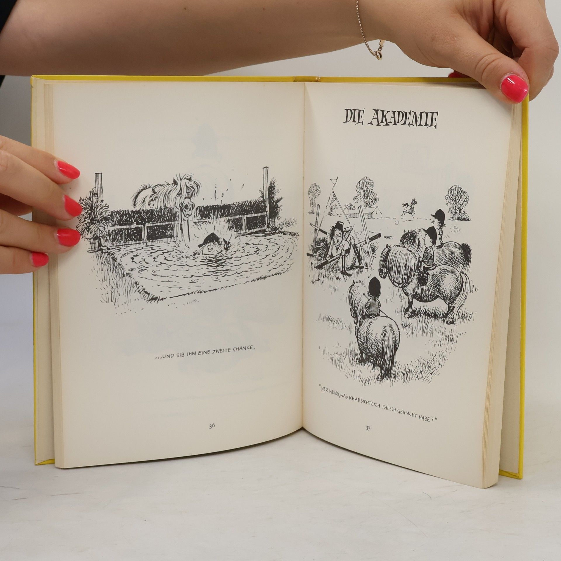 Norman Thelwell Thelwell's Reit-Akademie