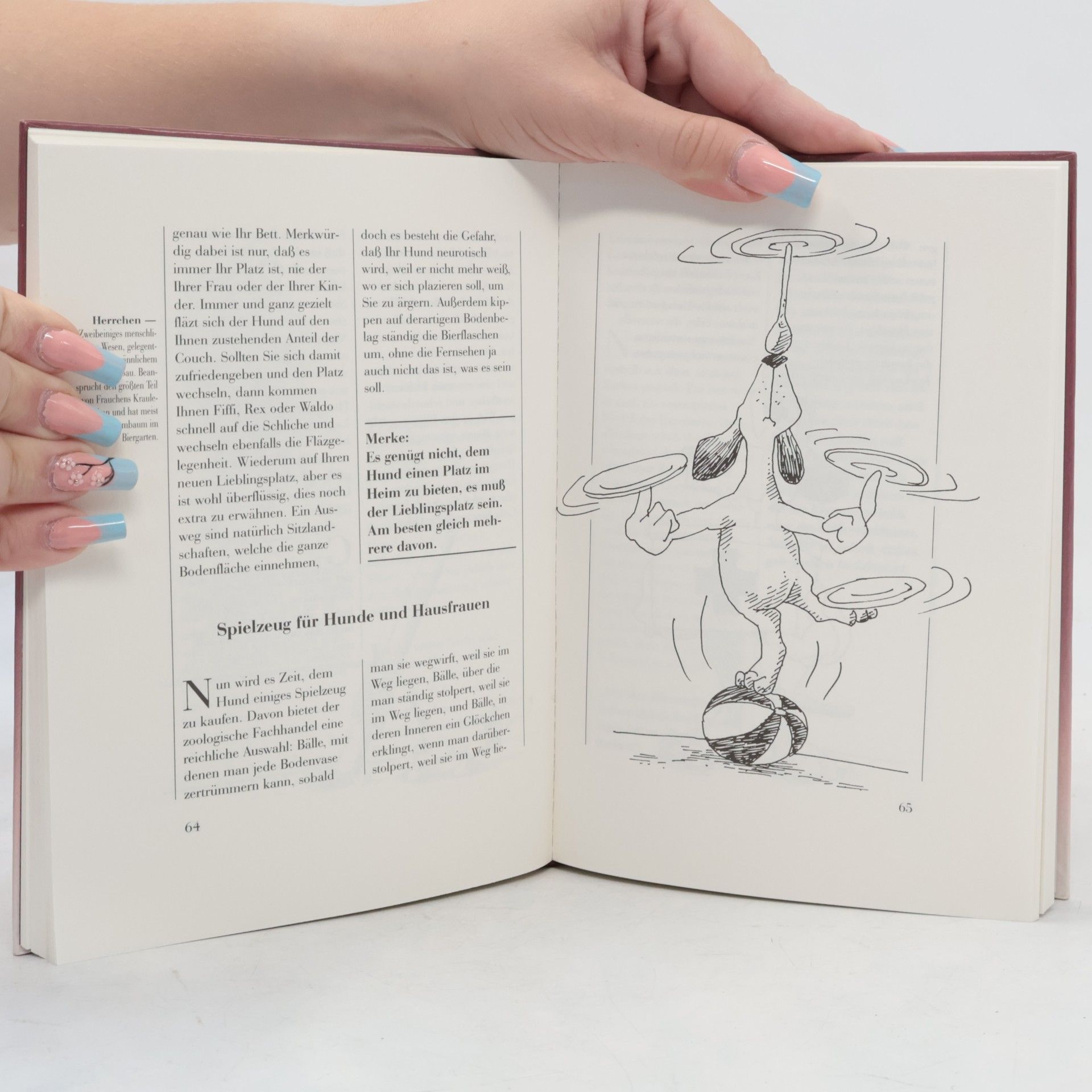 Gert Seidel Das offizielle endgültige Handbuch für den Hundebesitzer