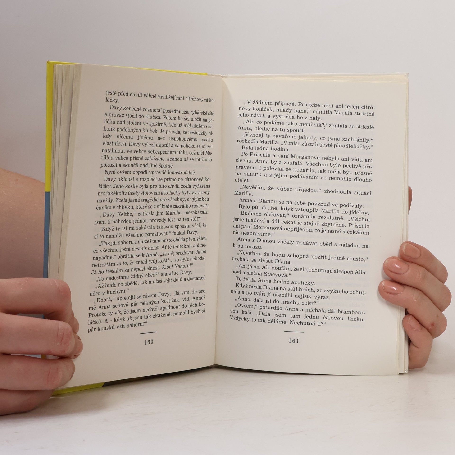 Lucy Maud Montgomery Cesta za velkým snem