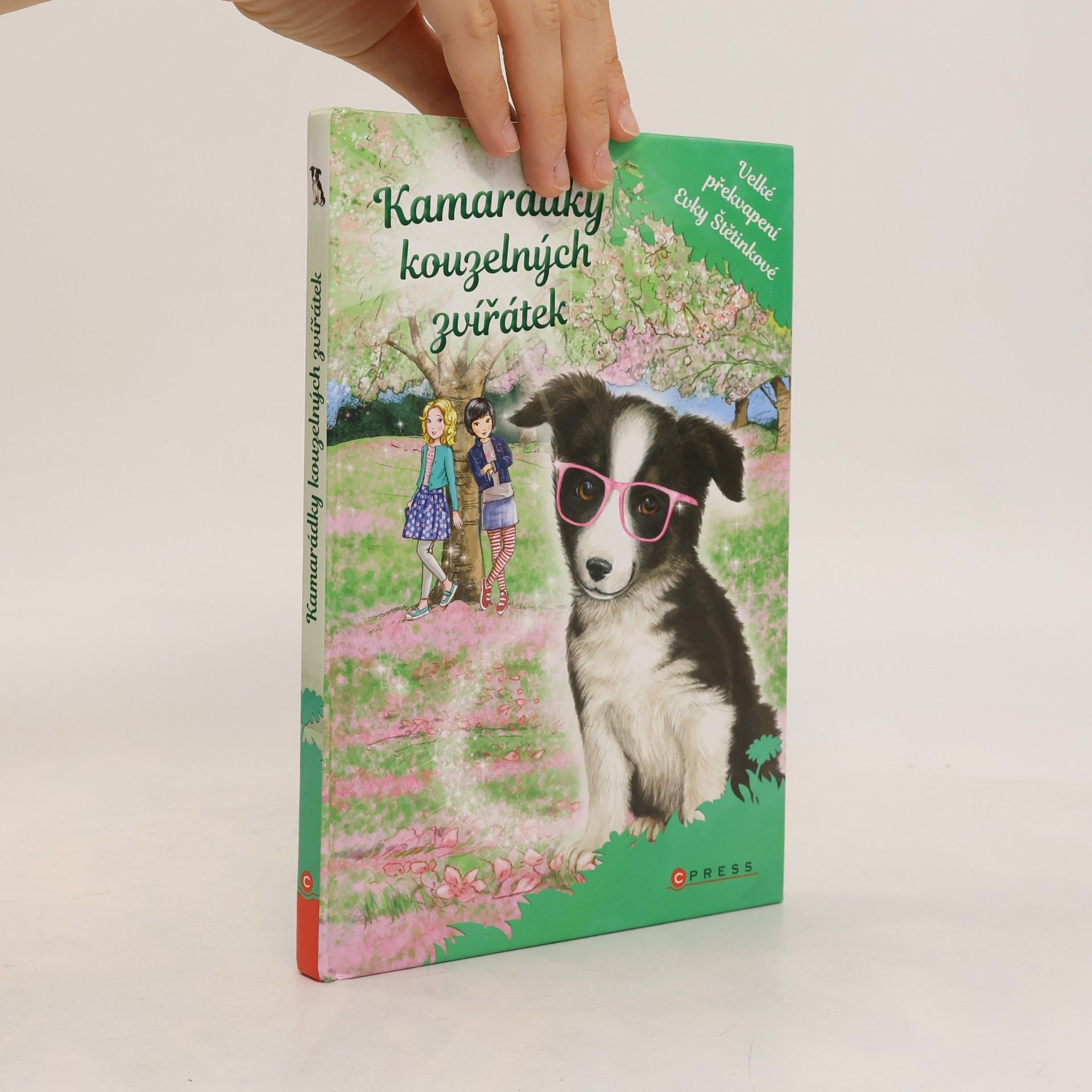 Daisy Meadows Velké překvapení Evky Štětinkové. Kamarádky kouzelných zvířátek