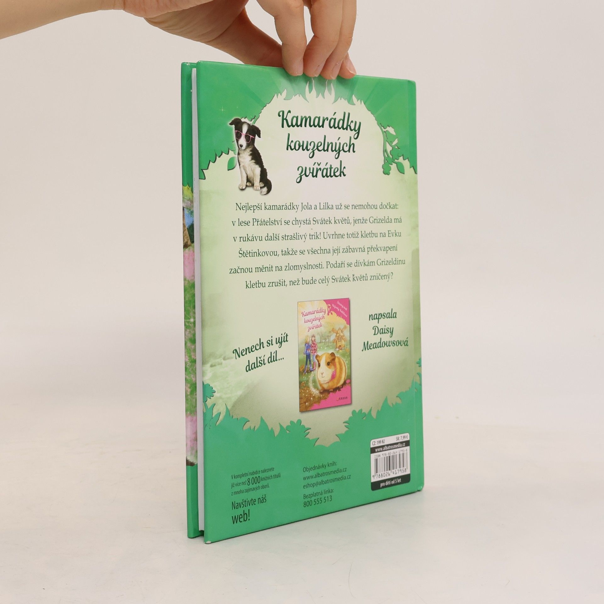 Daisy Meadows Velké překvapení Evky Štětinkové. Kamarádky kouzelných zvířátek