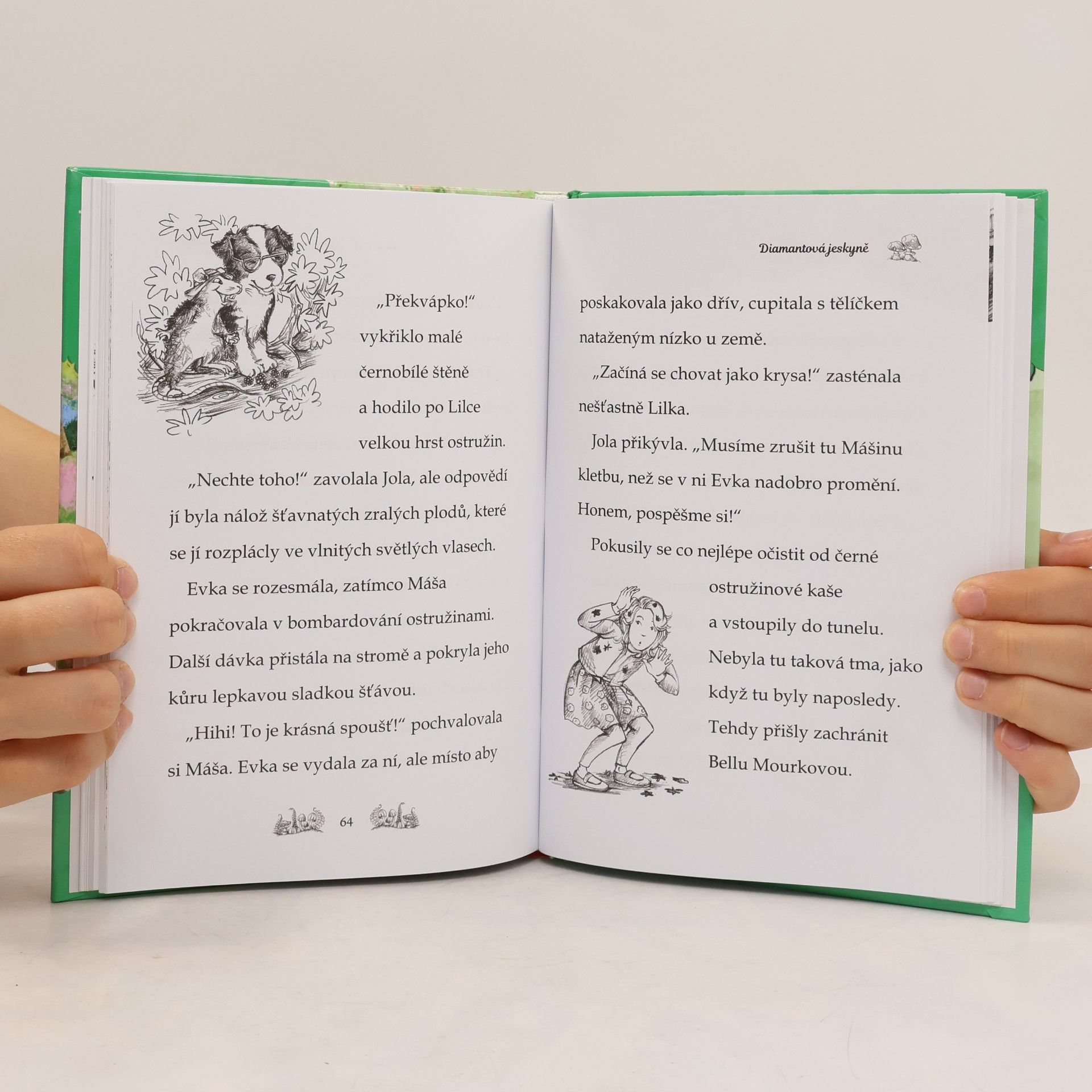 Daisy Meadows Velké překvapení Evky Štětinkové. Kamarádky kouzelných zvířátek