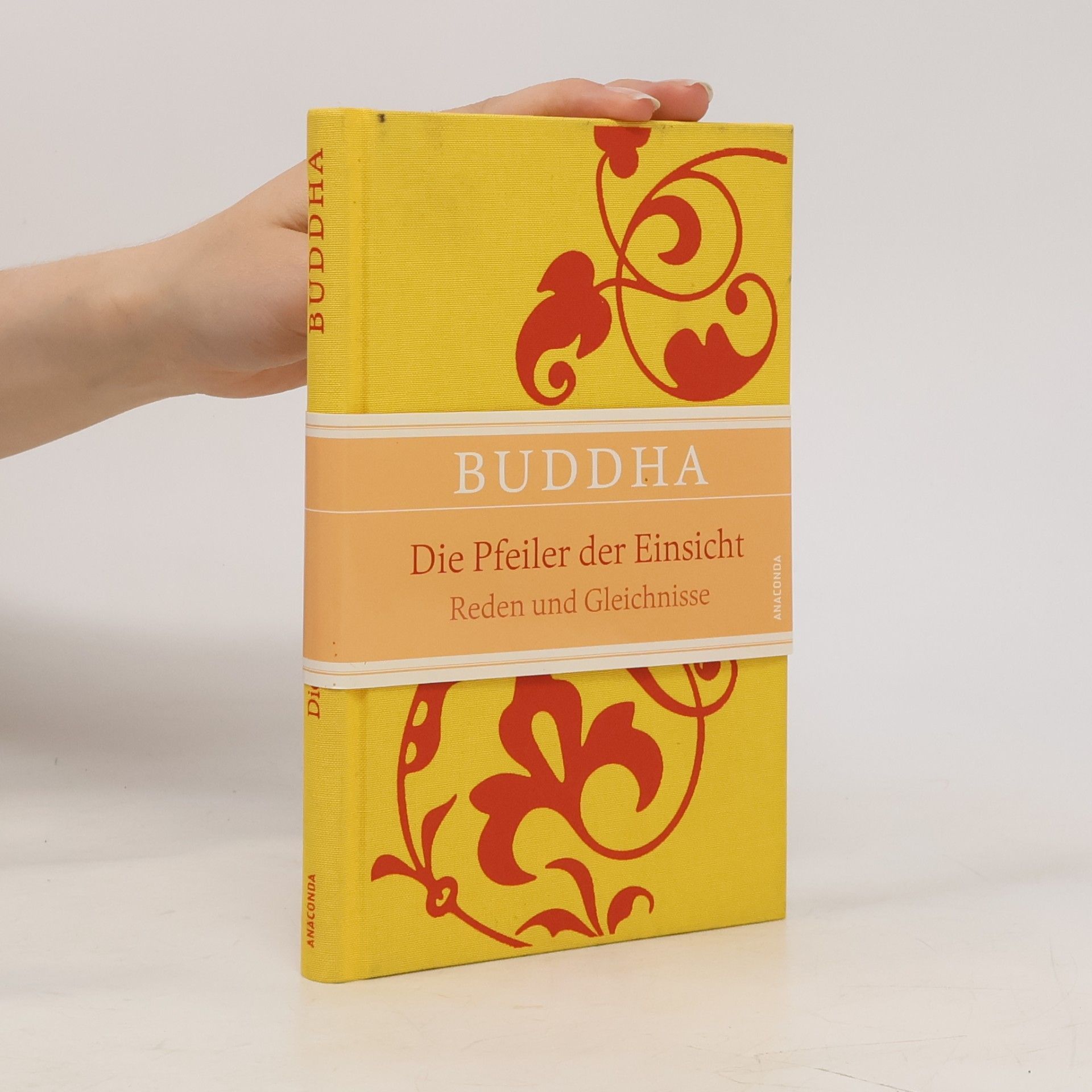 Gautama Buddha Die Pfeiler der Einsicht