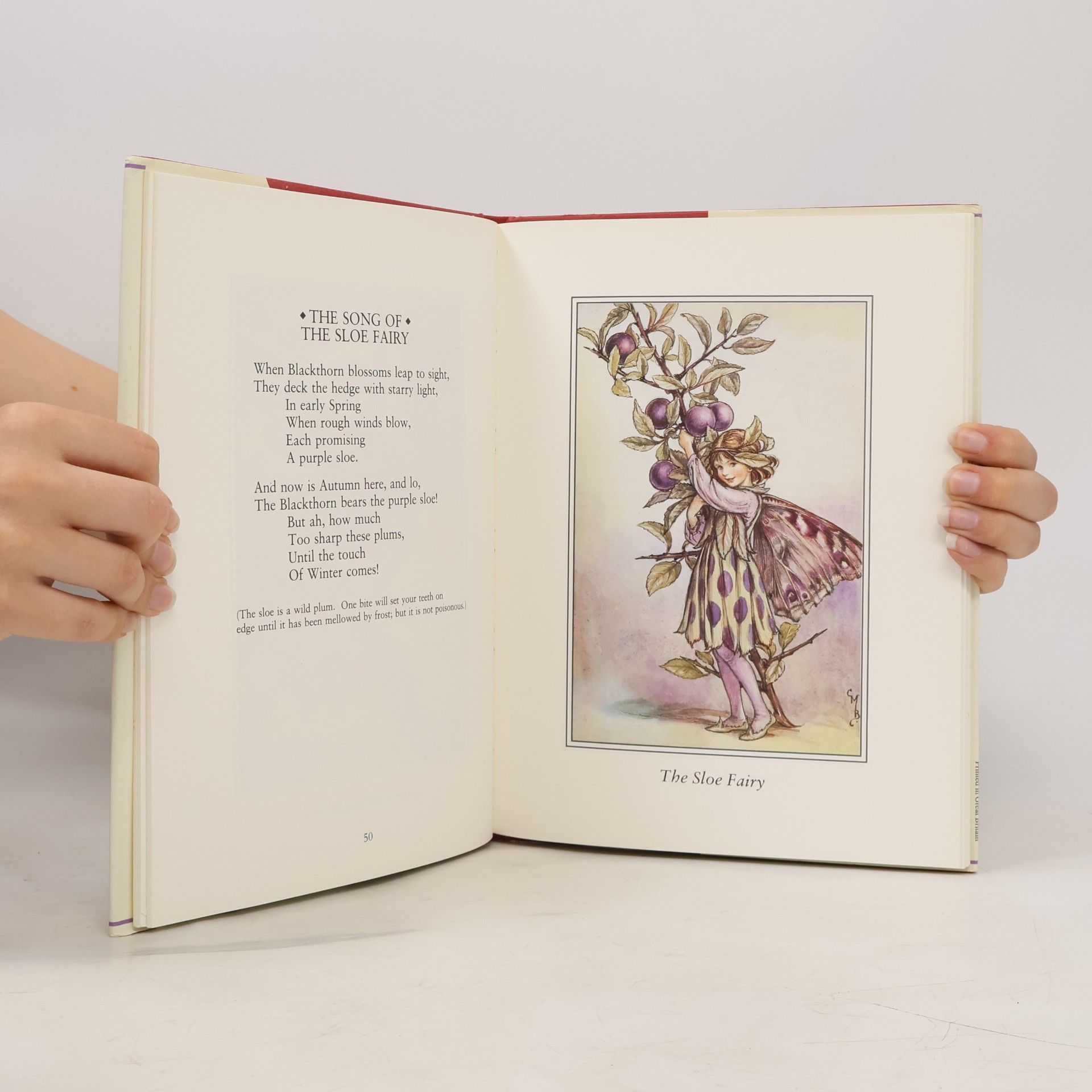 Cicely M. Barker A Treasury of Flower Fairies