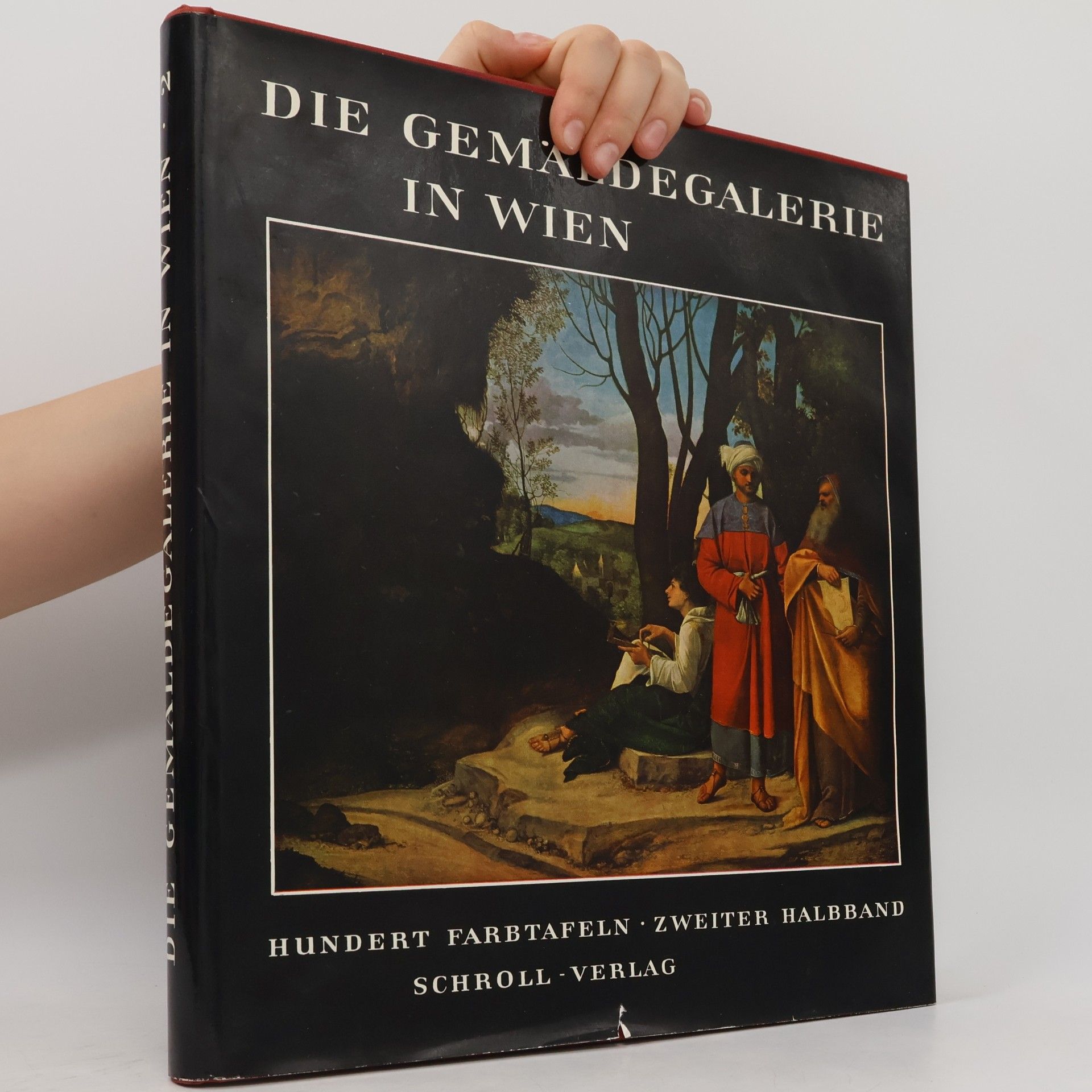 Kolektiv autorů Die Gemäldegalerie in Wien 1