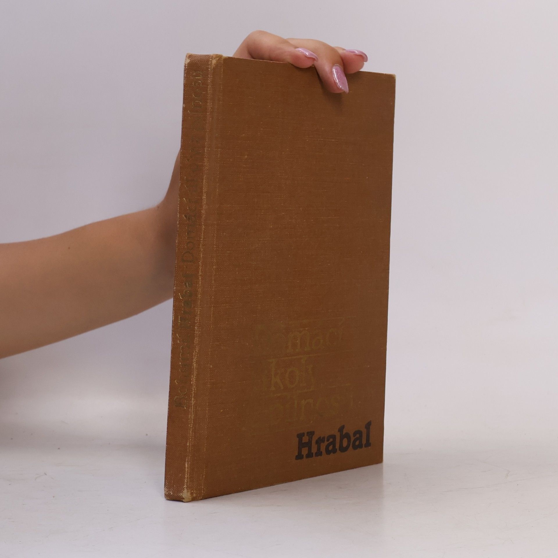 Bohumil Hrabal Domácí úkoly z pilnosti