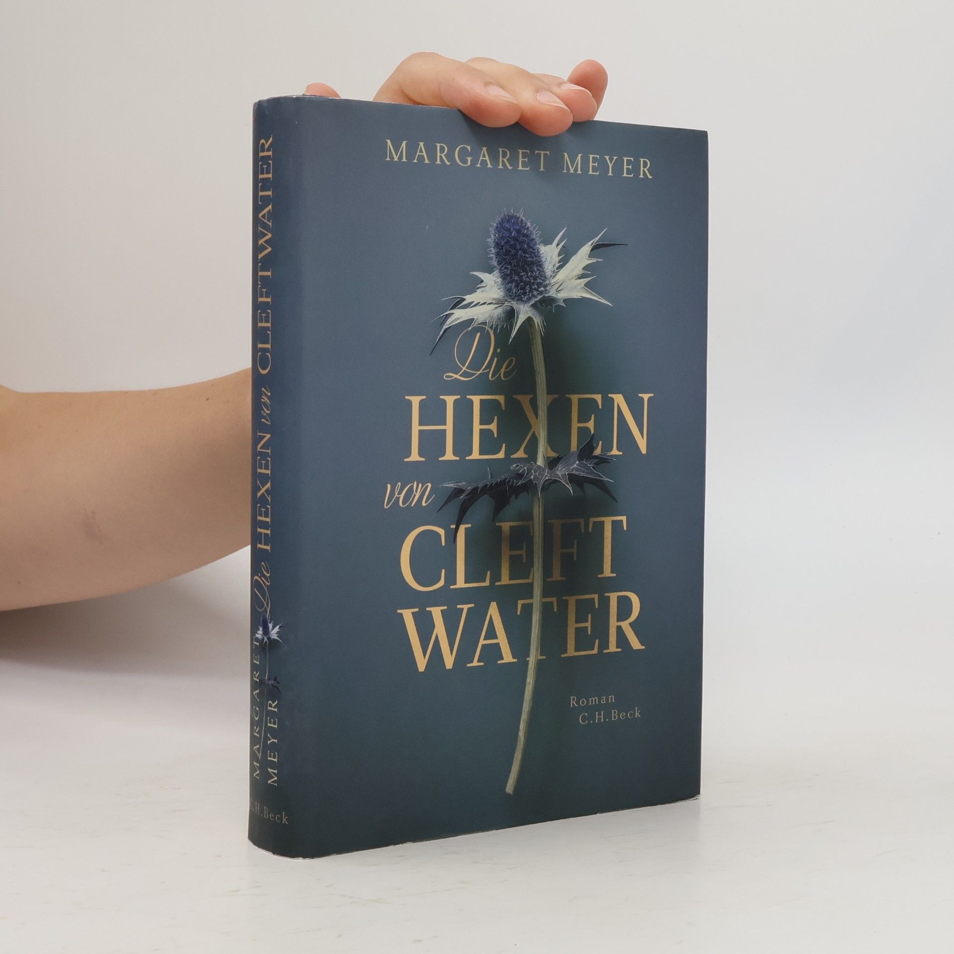 Margaret Meyer Die Hexen von Cleftwater