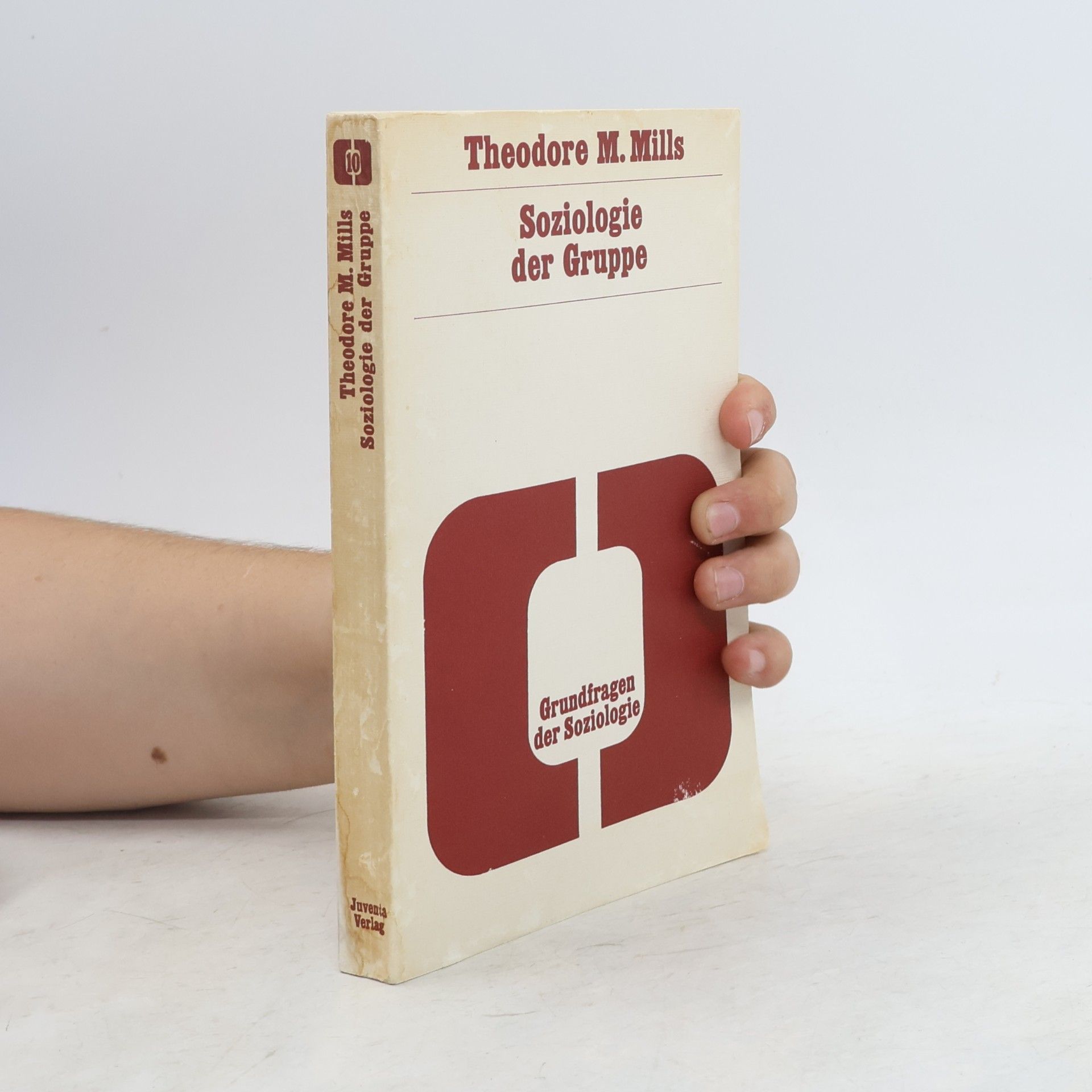 Theodore M. Mills Soziologie der Gruppe