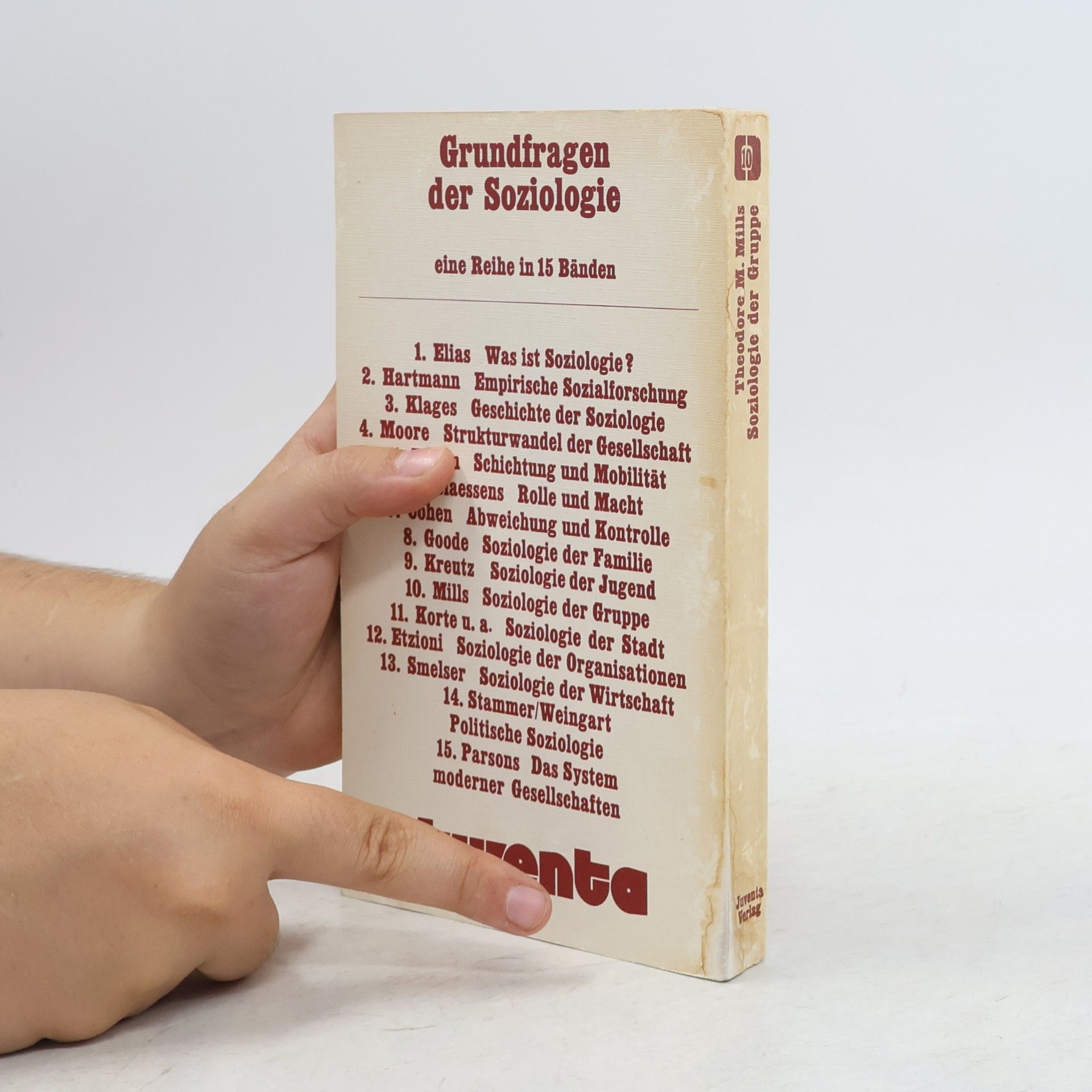 Theodore M. Mills Soziologie der Gruppe