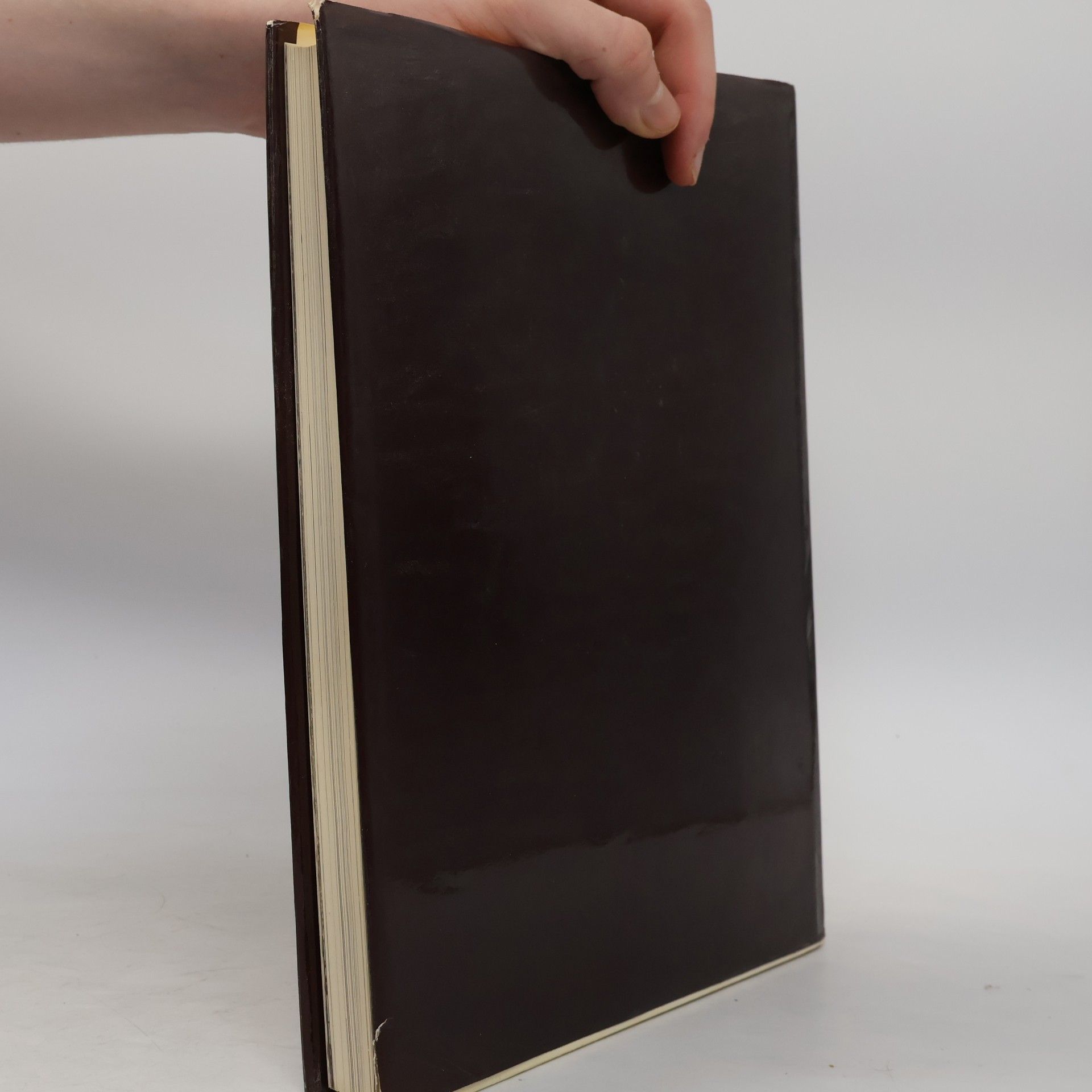 Autorenkollektiv Das grosse Buch vom Holz