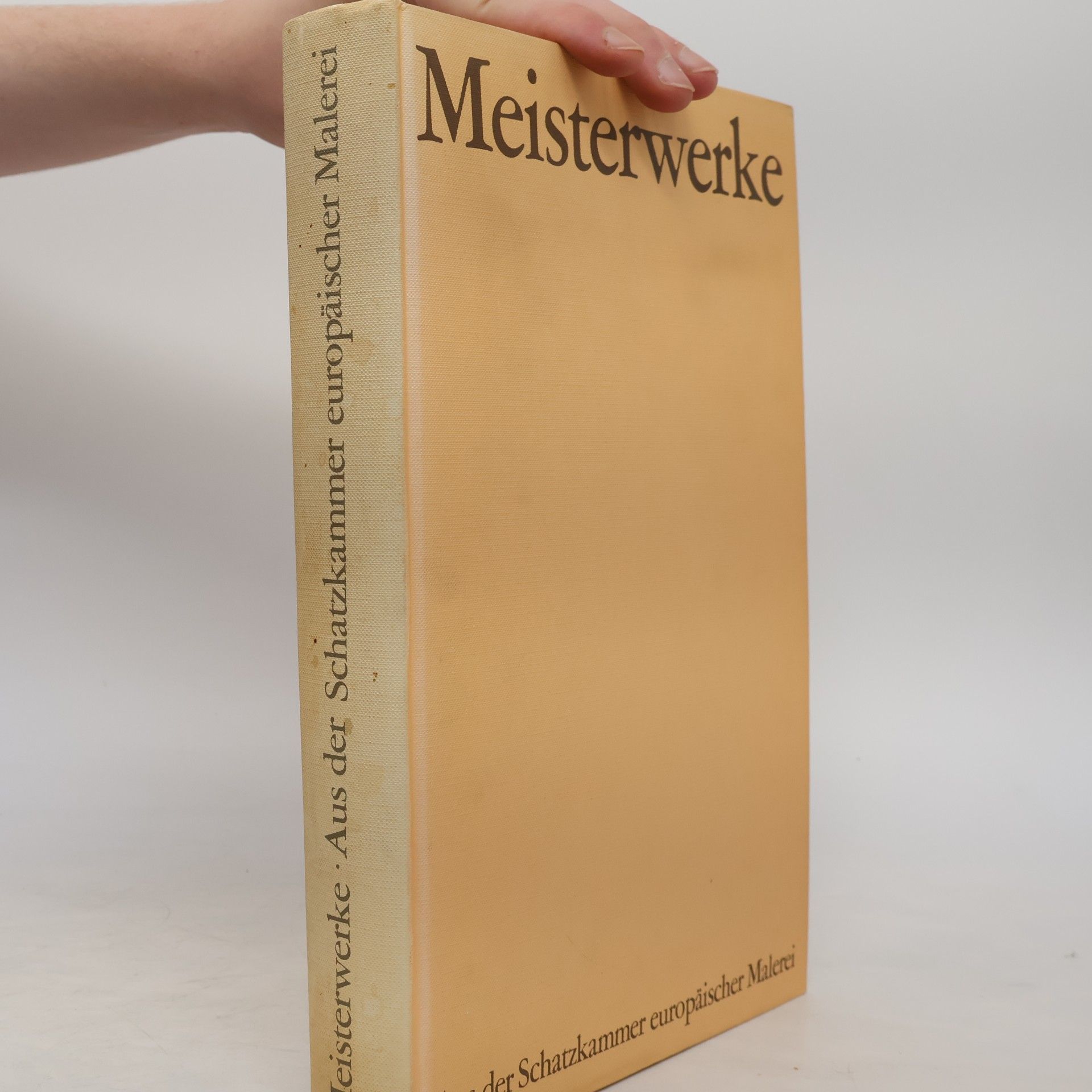 Bert Bilzer Meisterwerke aus der Schatzkammer europäischer Malerei