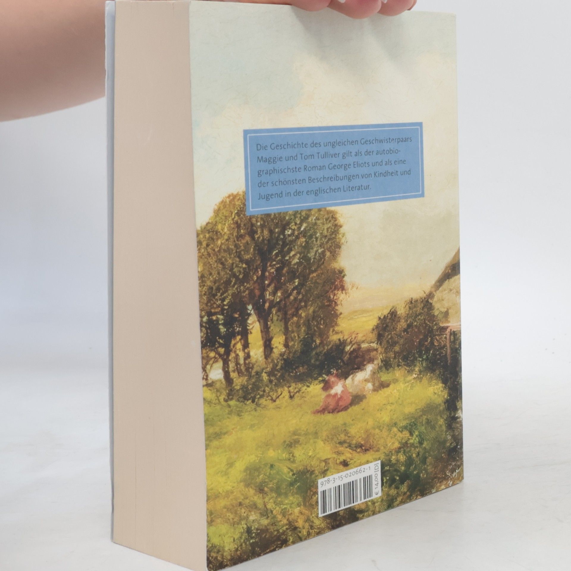 George Eliot Die Mühle am Floss
