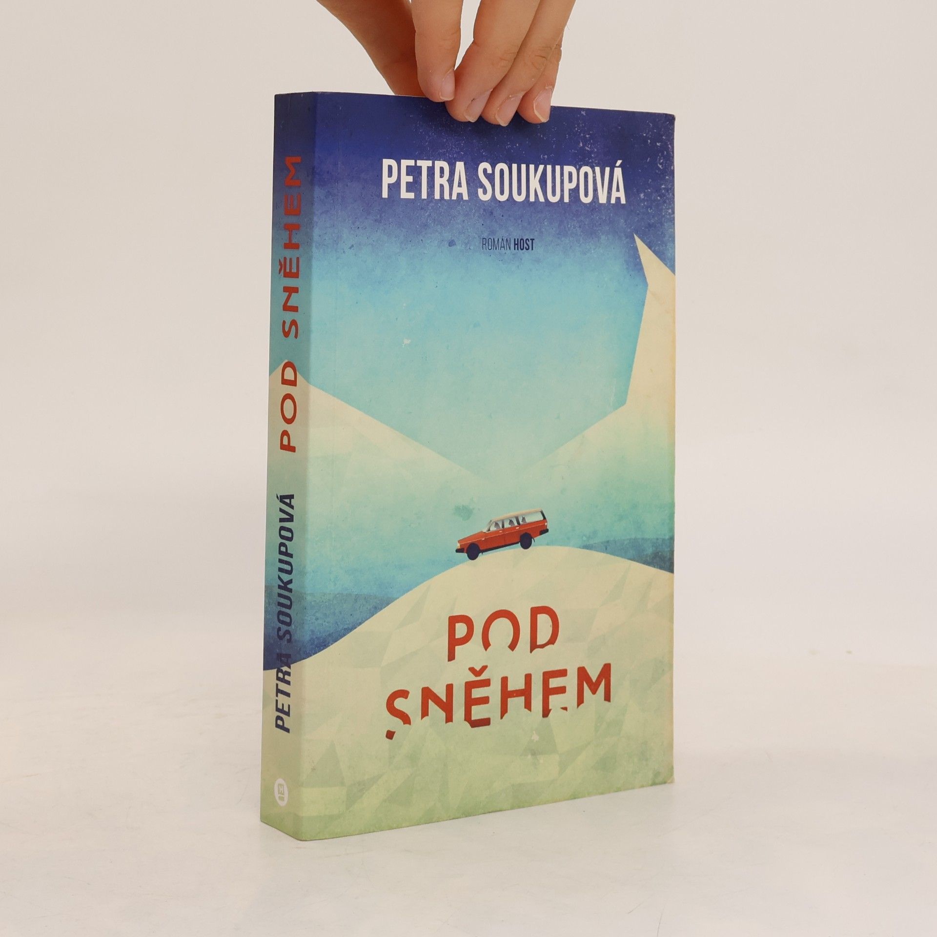 Petra Soukupová Pod sněhem