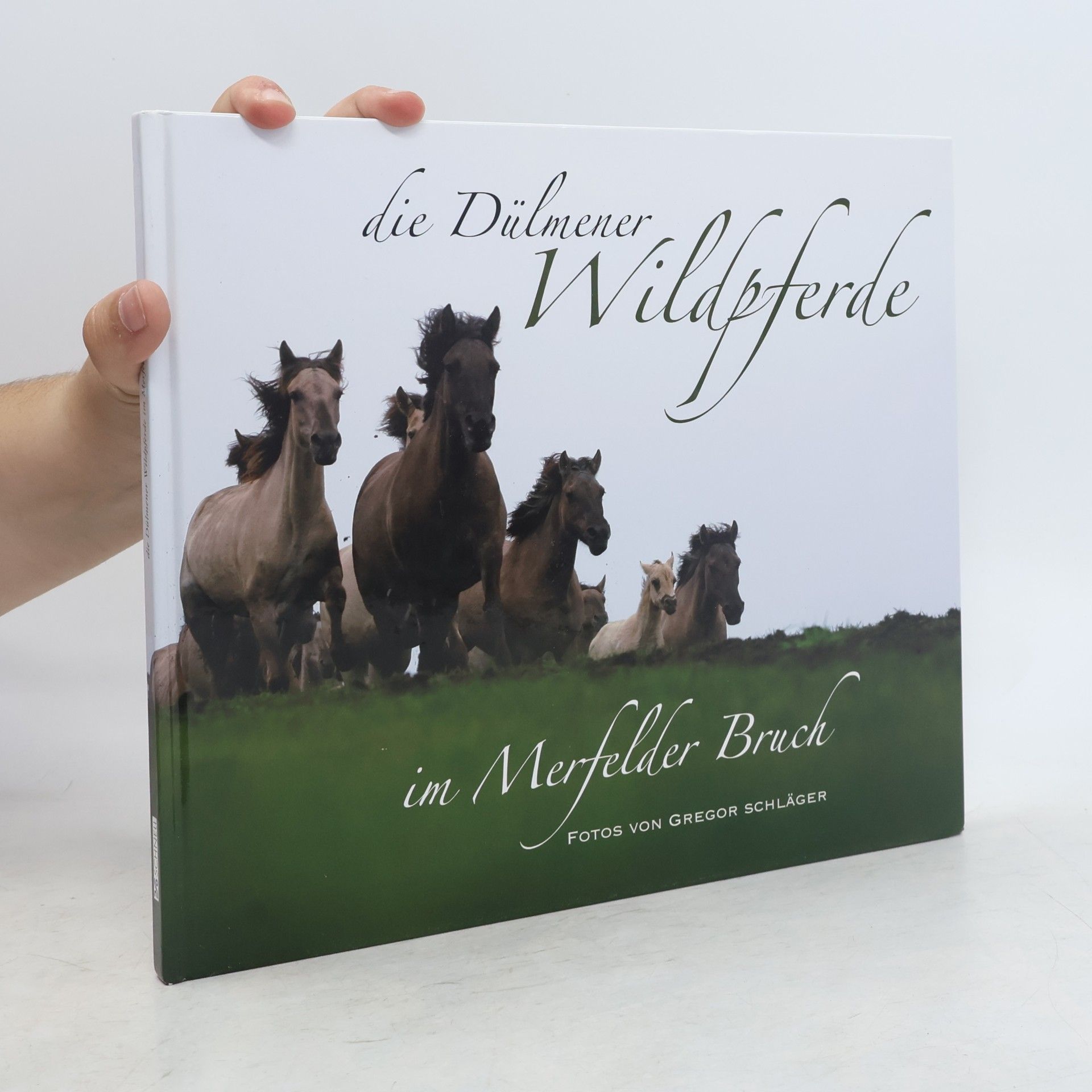 Jörg Gierse Die Dülmener Wildpferde in Merfelder Bruch