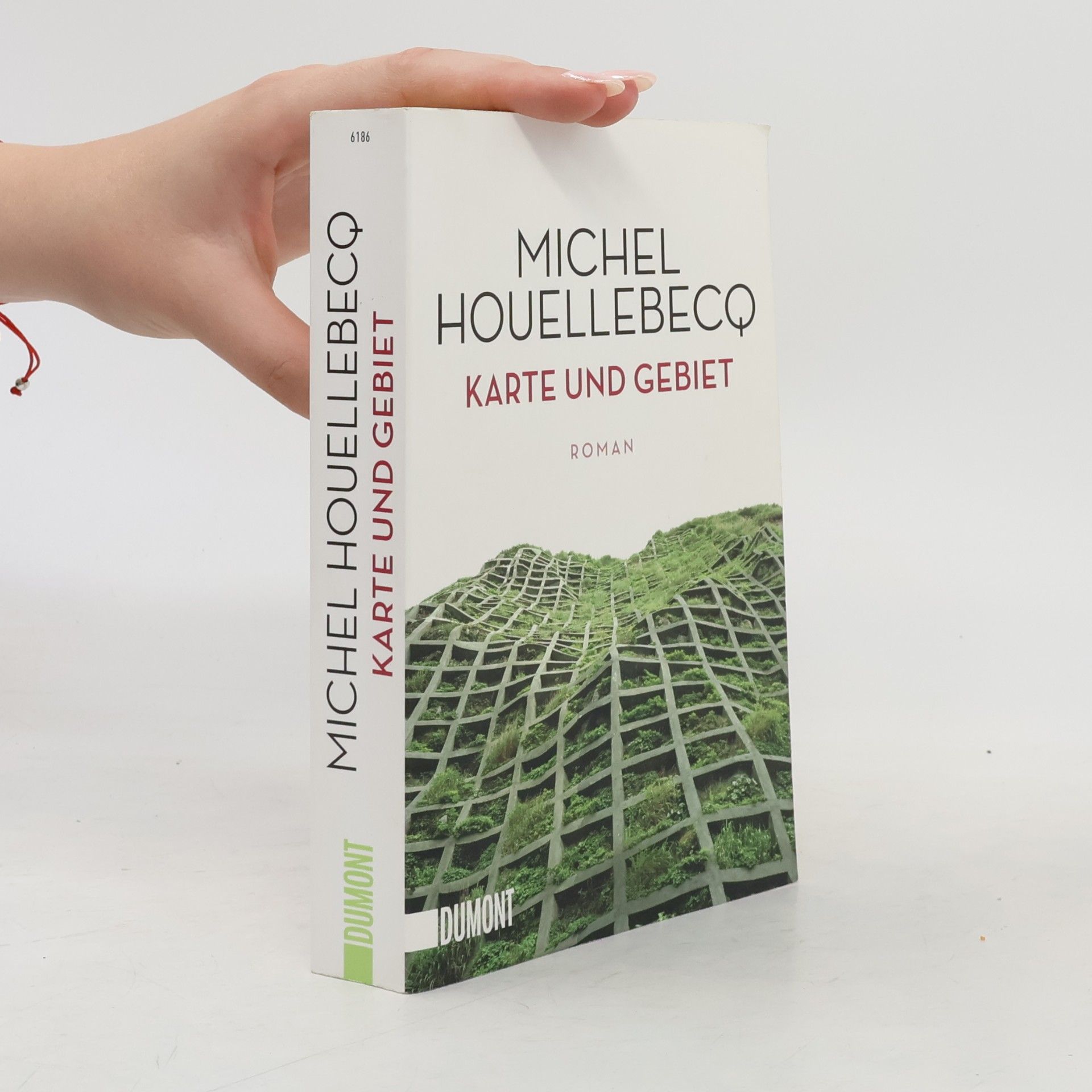 Michel Houellebecq Karte und Gebiet