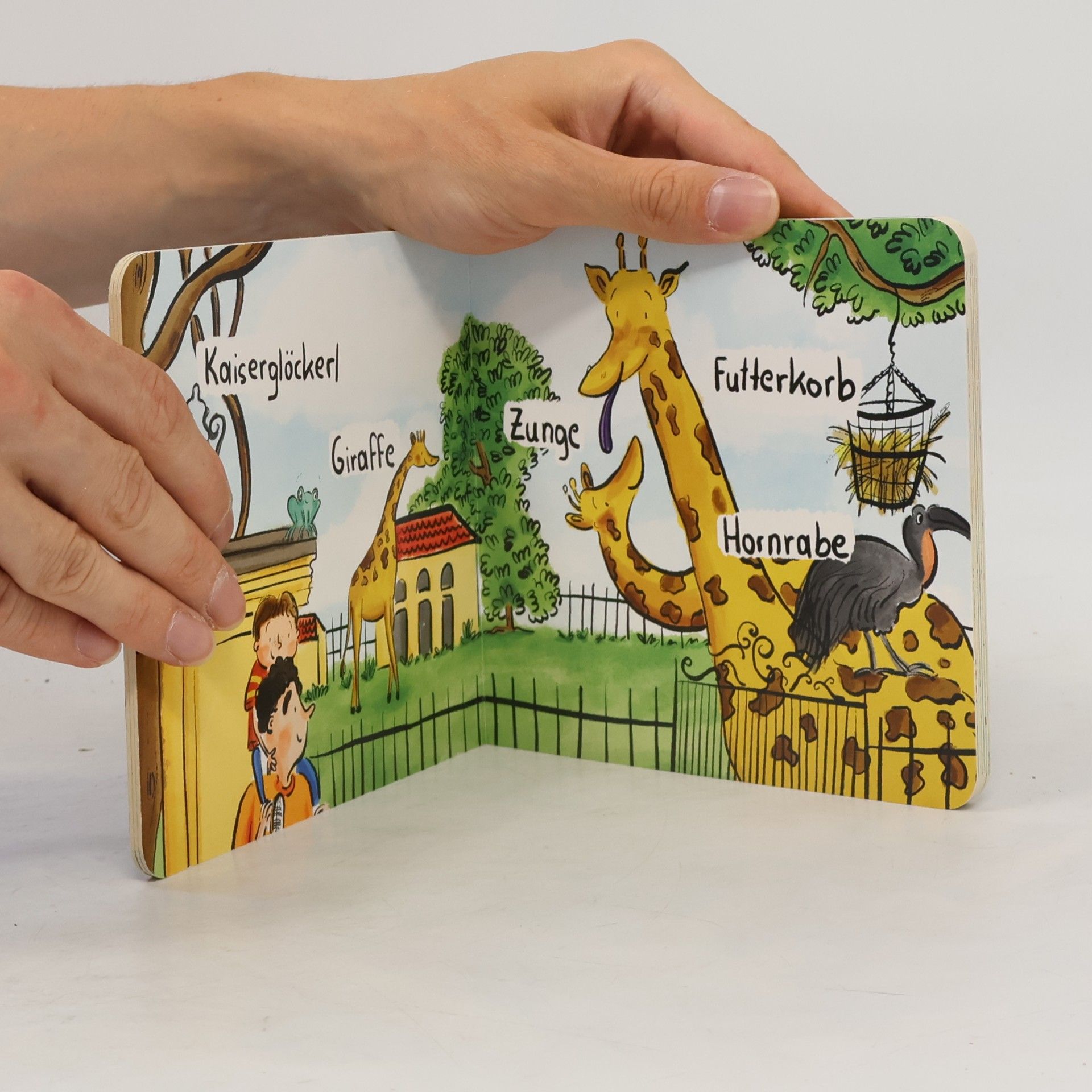 Franziska Höllbacher Mein 1. Tiergarten Schönbrunn-Buch