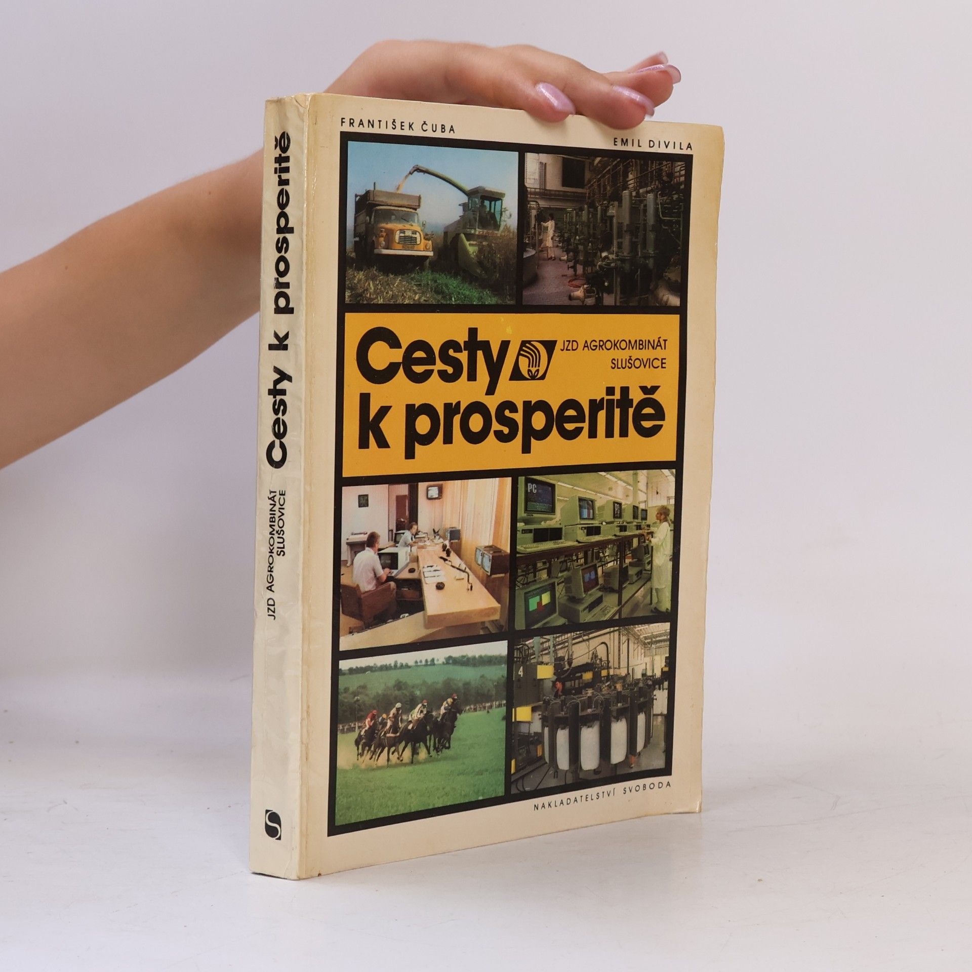 Emil Divila Cesty k prosperitě