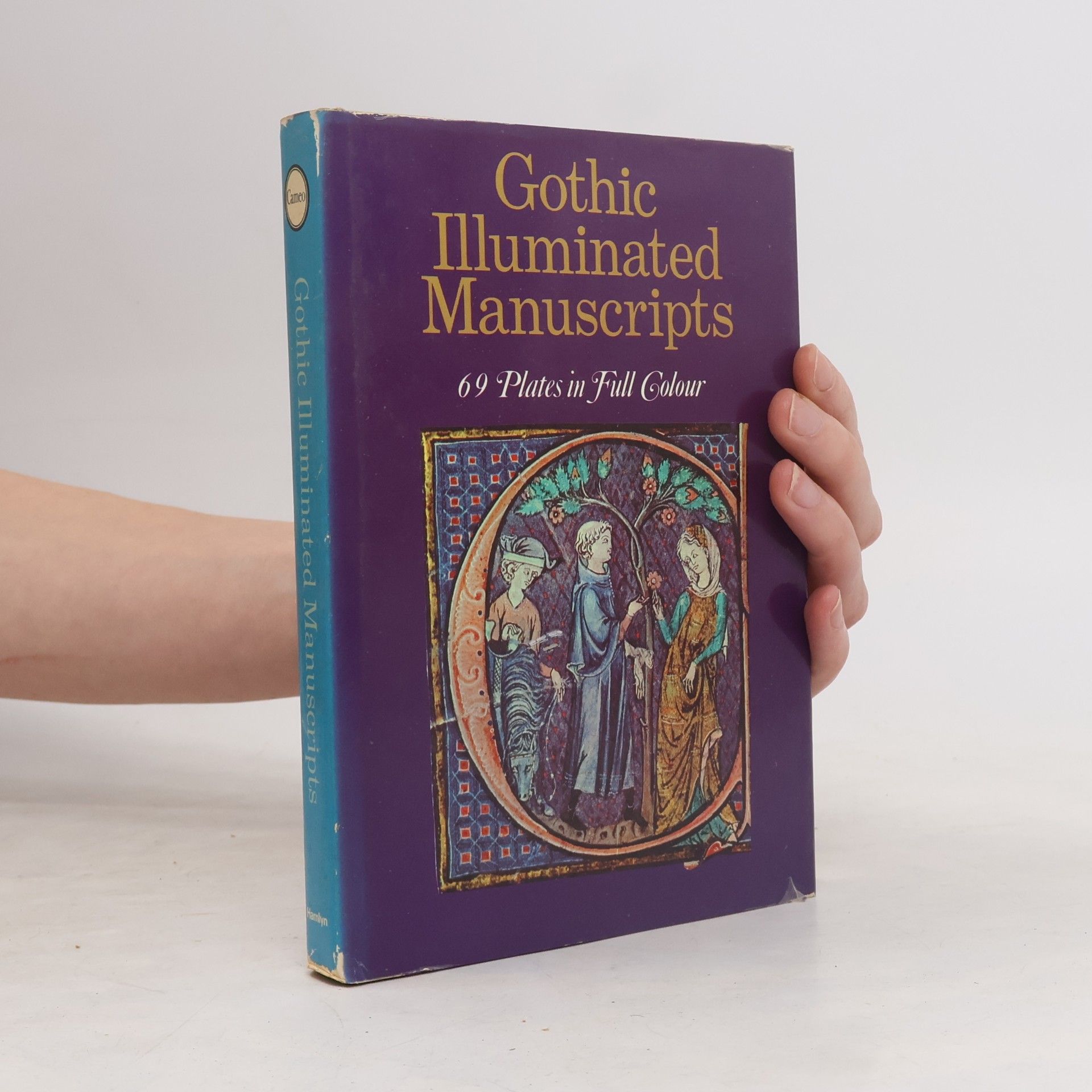 Gothic Illuminated Manuscripts