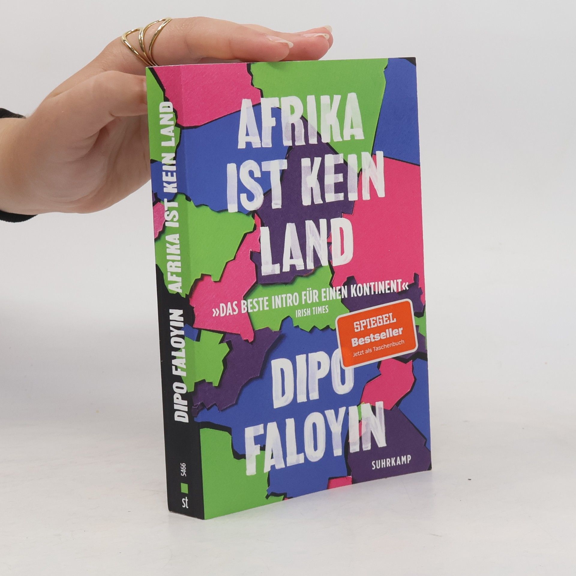 Dipo Faloyin Afrika ist kein Land