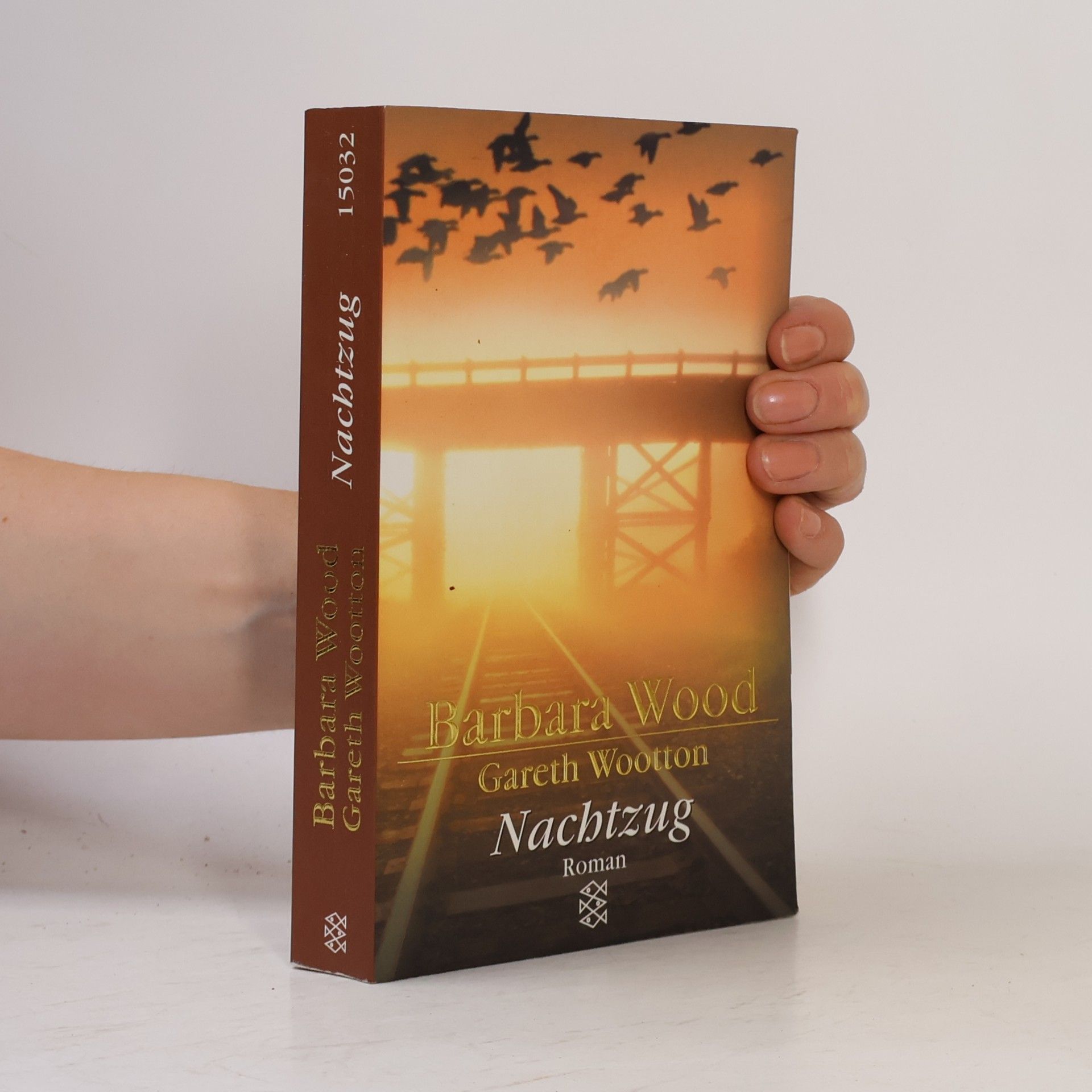 Barbara Wood Nachtzug