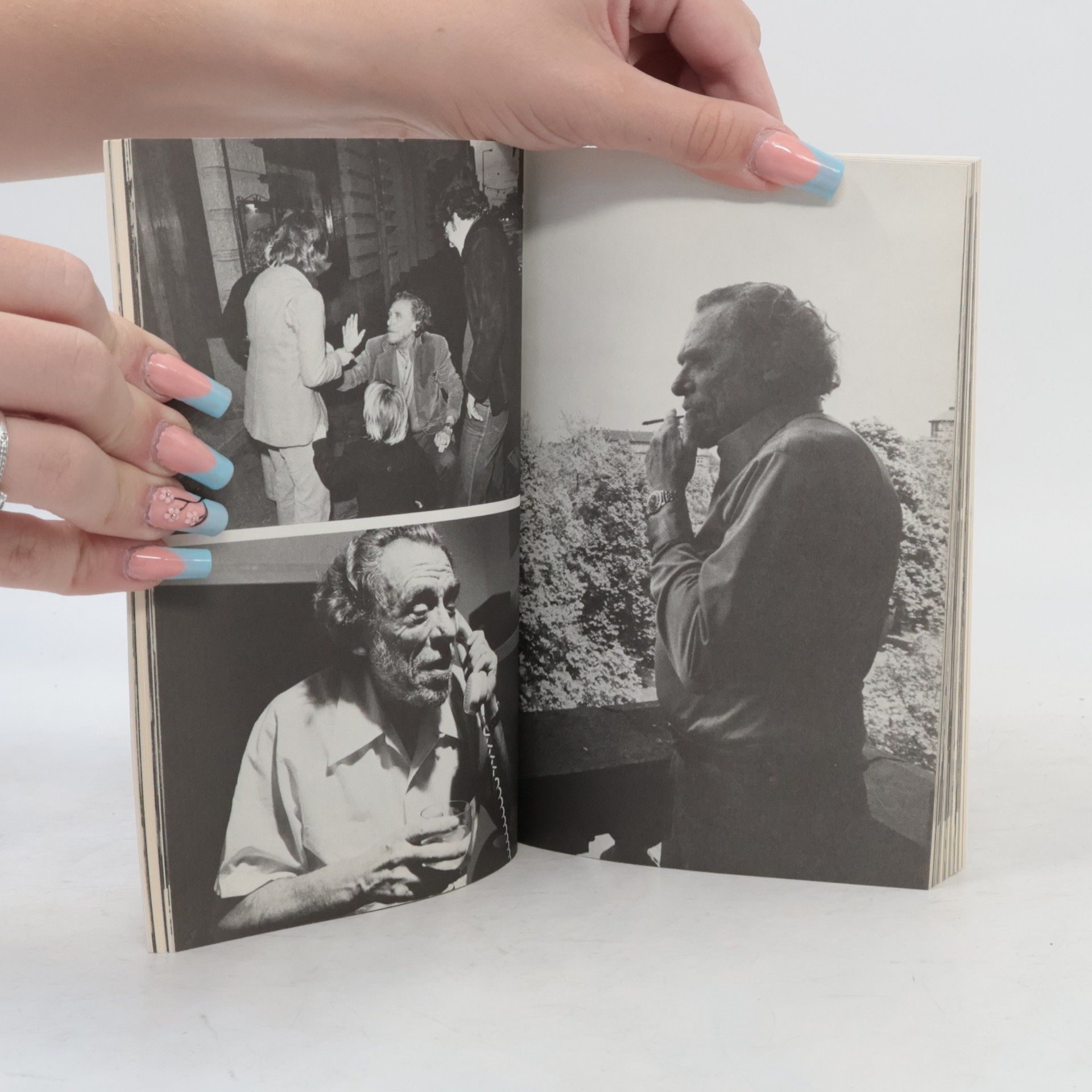 Charles Bukowski Die Ochsentour