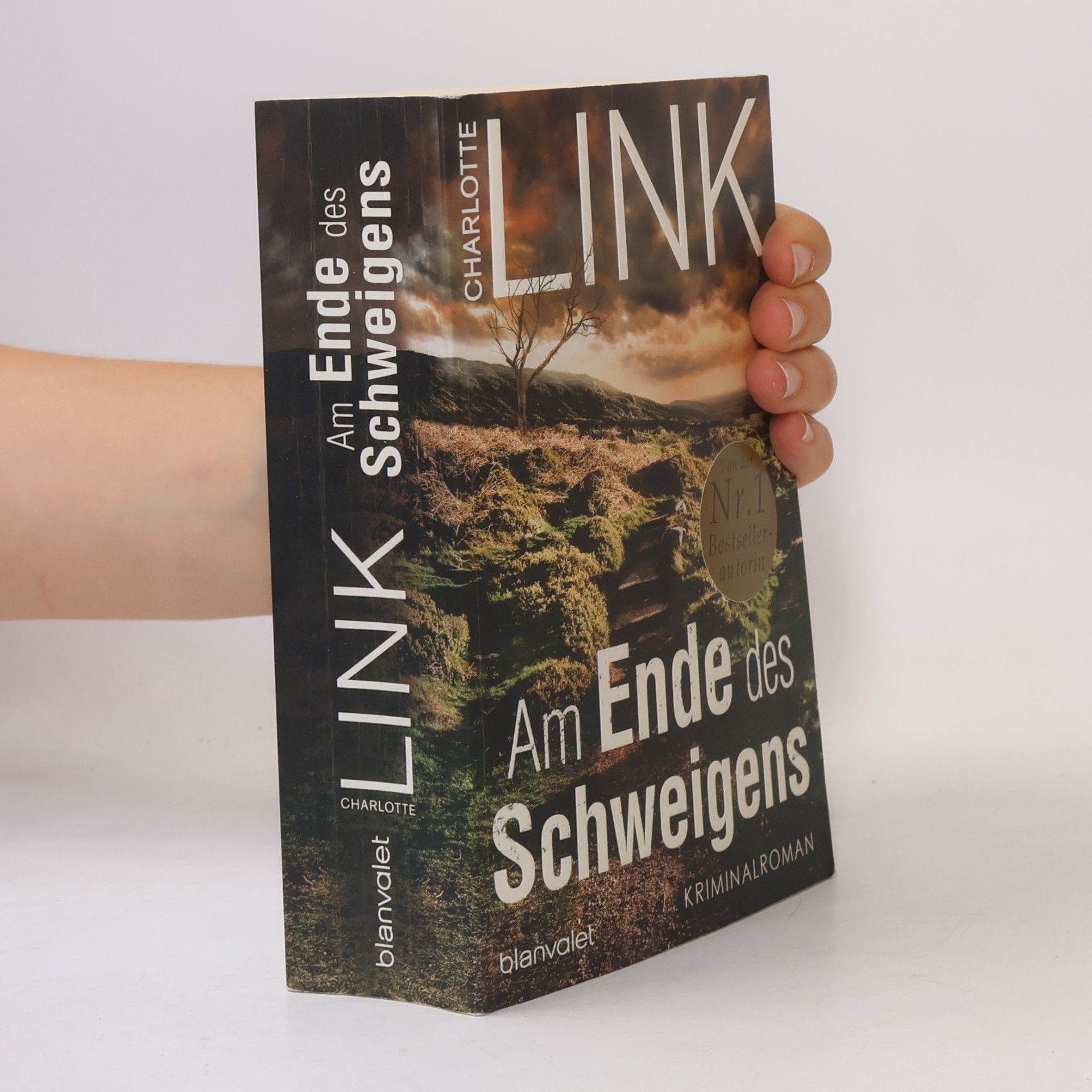 Charlotte Link Am Ende des Schweigens