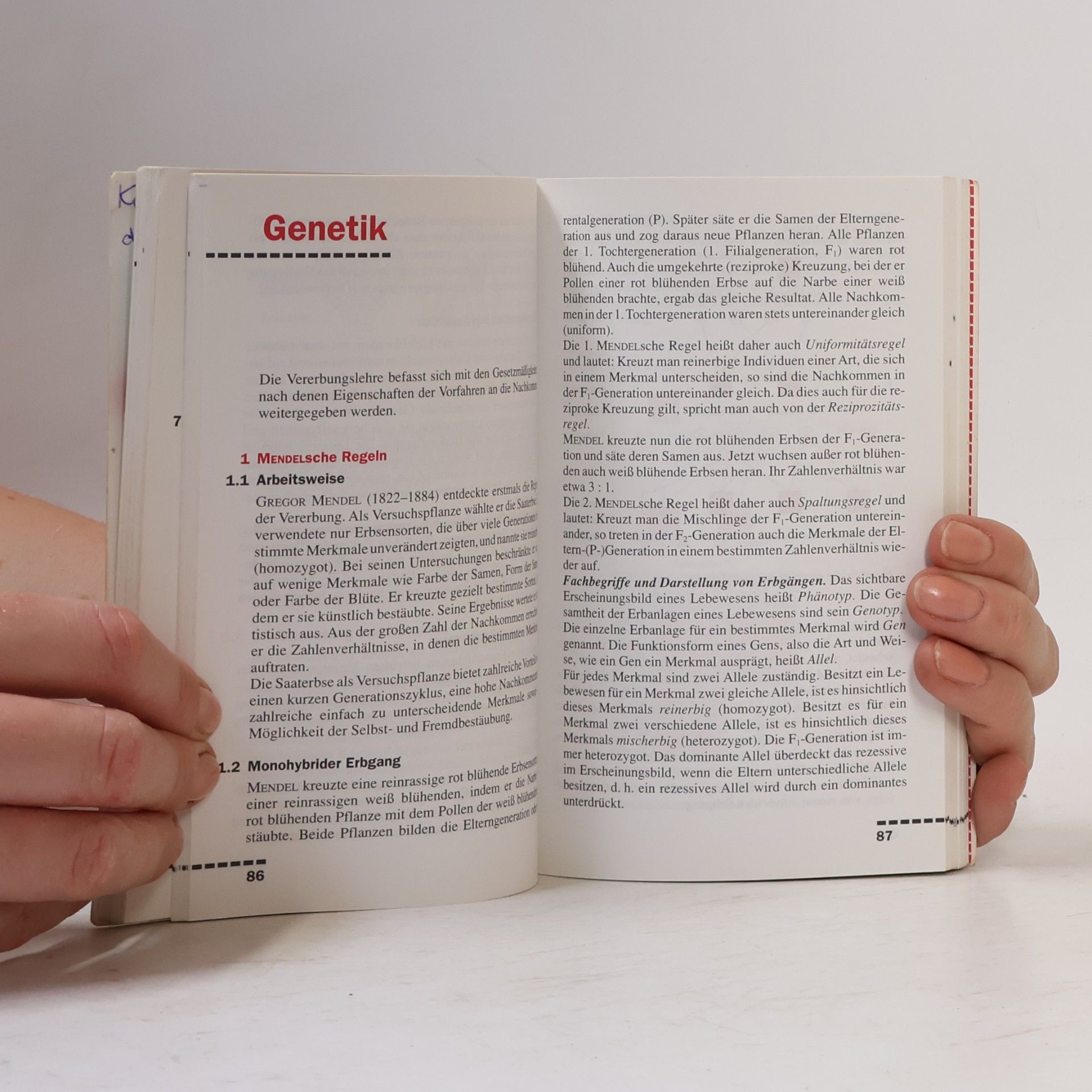 Walter Kleesattel Biologie: Pocket teacher
