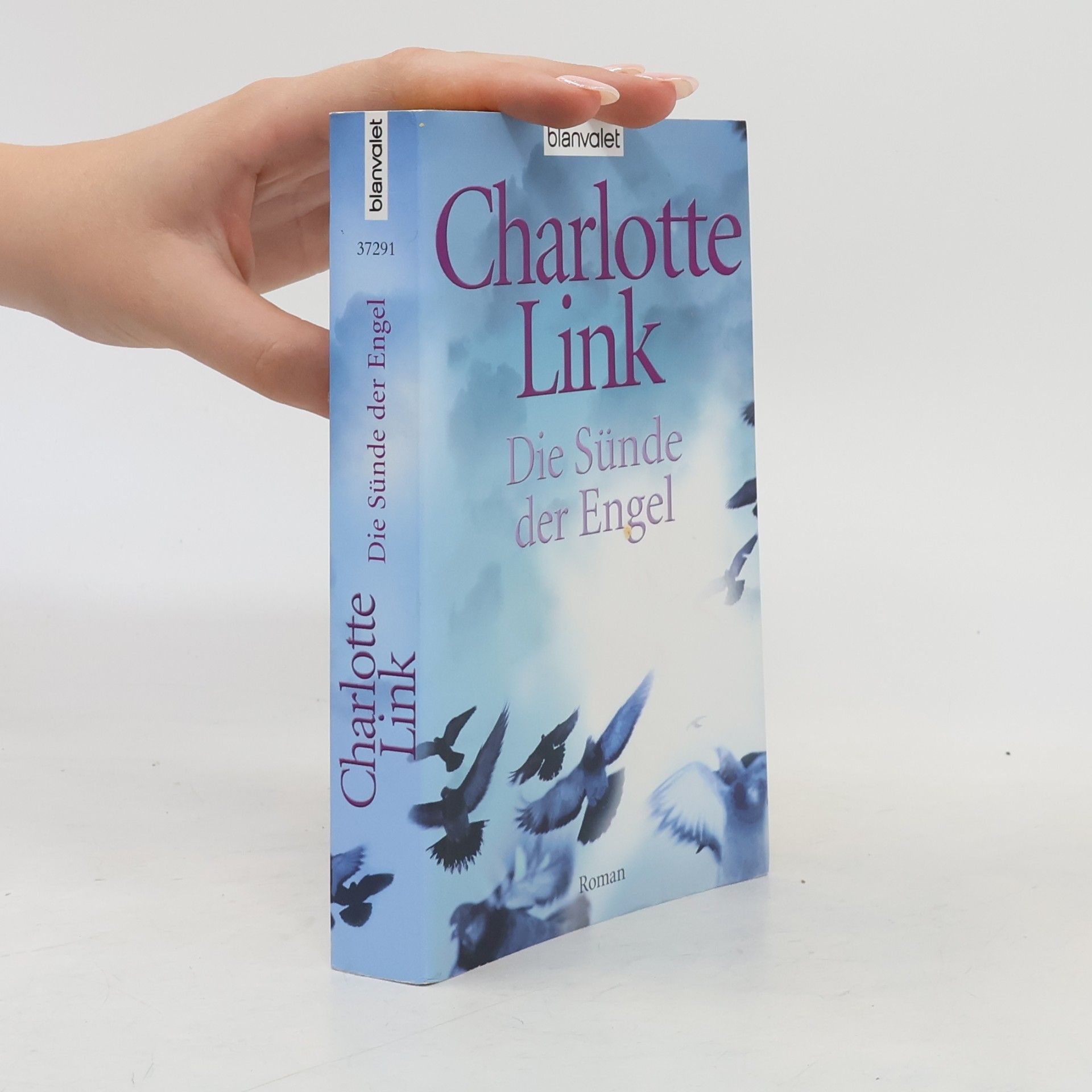 Charlotte Link Die Sünde der Engel