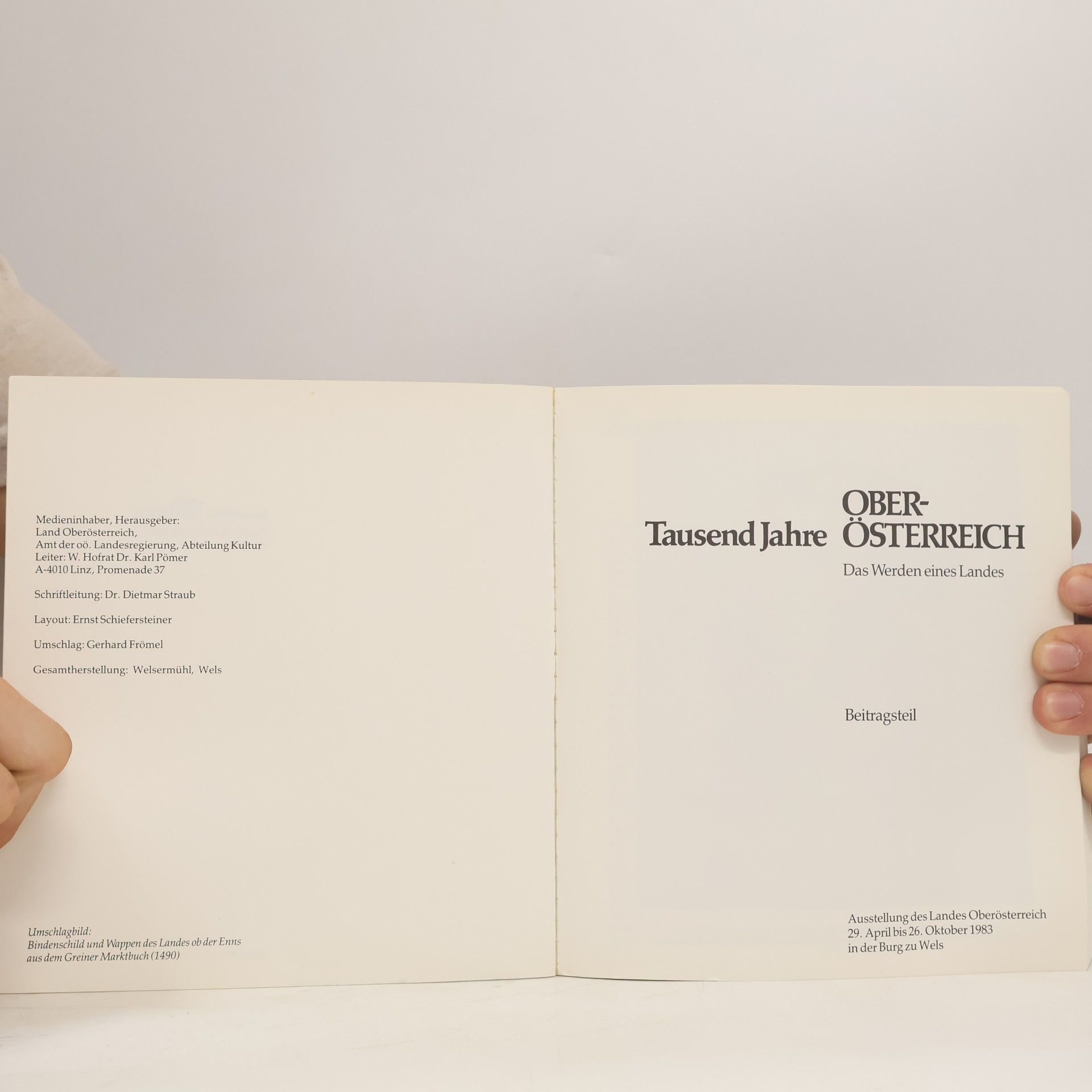 Kolektiv autorů Tausend Jahre Oberösterreich 1